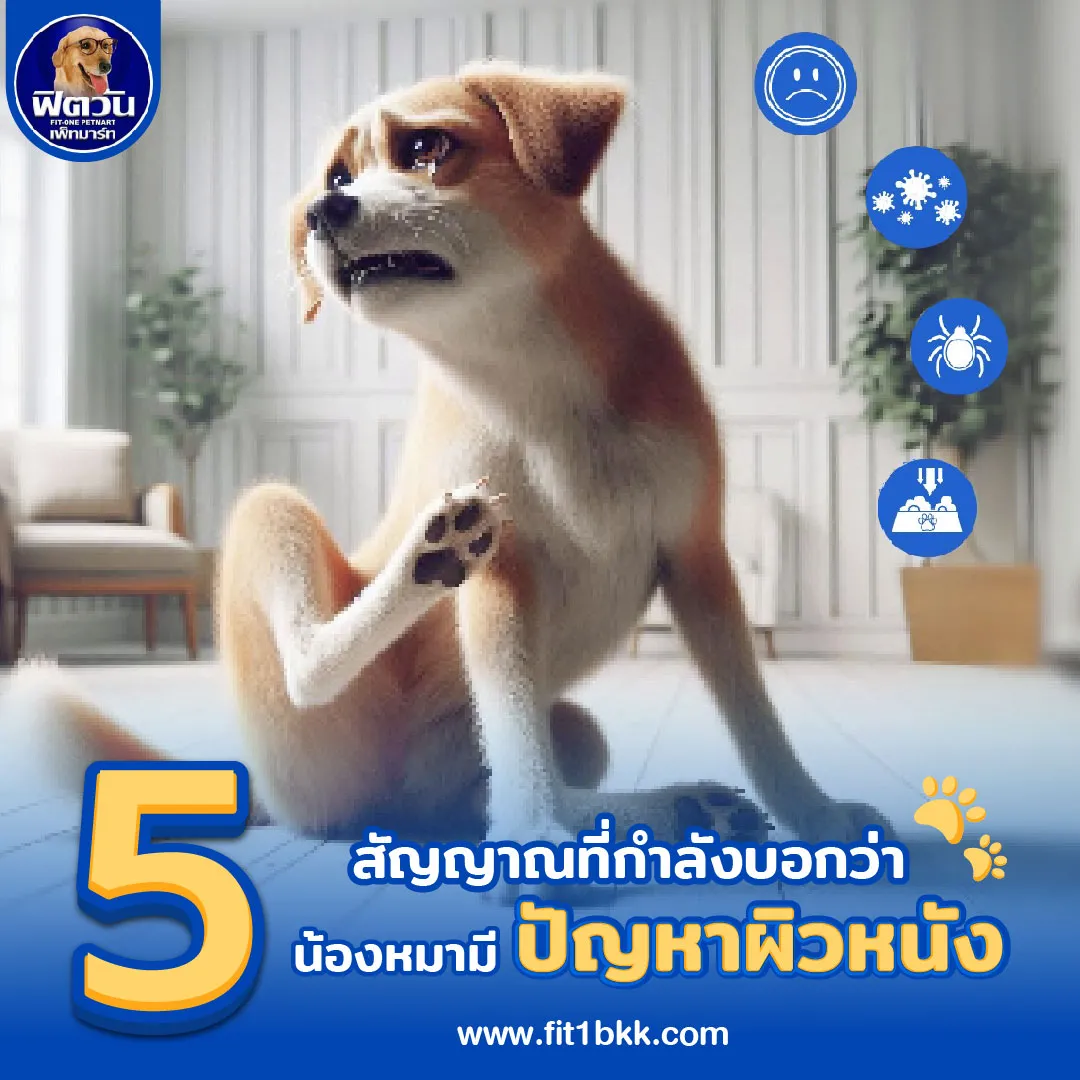 5 สัญญาณที่บอกว่าน้องหมา "มีปัญหาผิวหนัง"