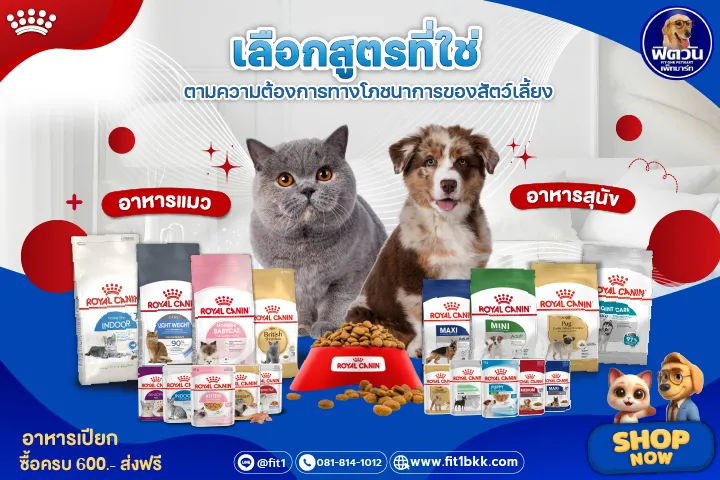 Royal canin