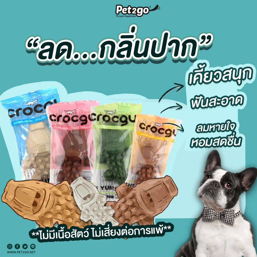 Crocgy Dog Dental Care