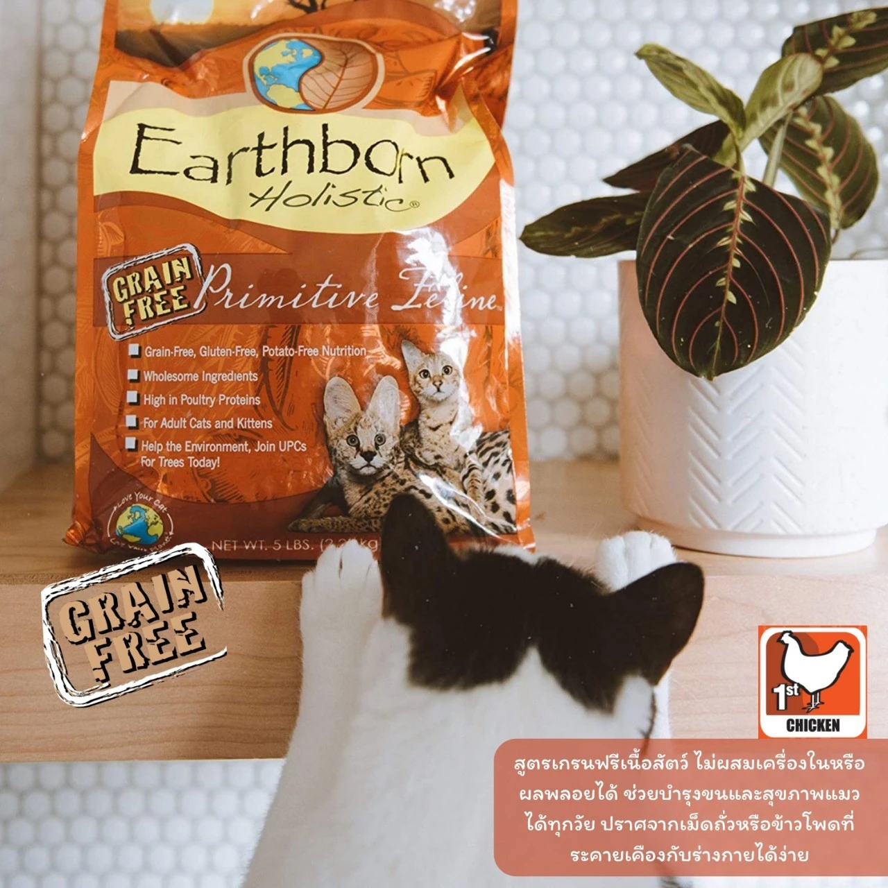 Earthborn Primitive Feline อาหารเม็ดสำหรับแมวทุกสายพันธุ์ทุกช่วงวัย