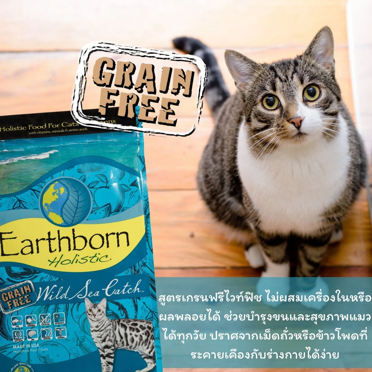 Earthborn Wild Sea Catch อาหารเม็ดสำหรับแมวทุกสายพันธุ์ทุกช่วงวัย