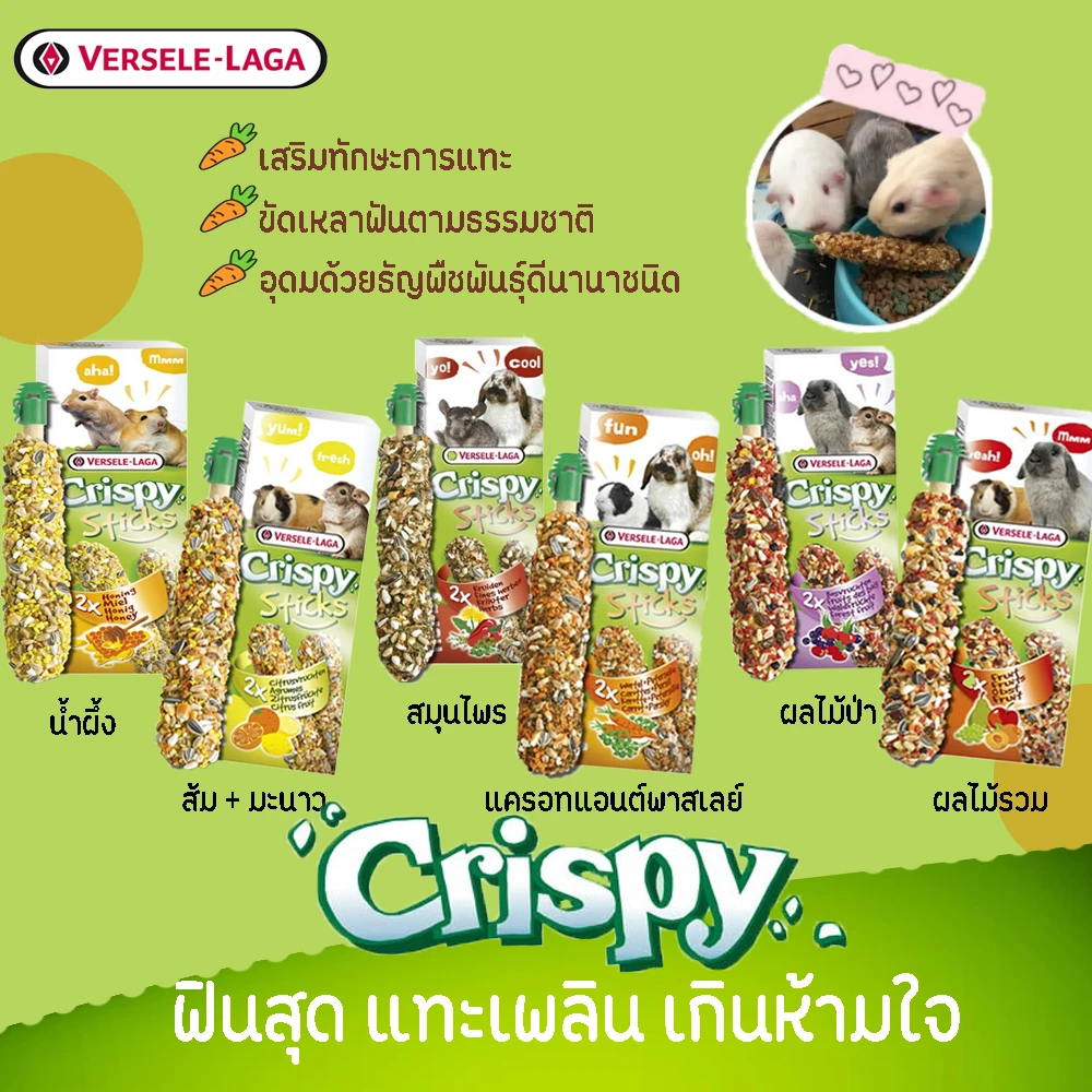 Crispy Sticks 110g.