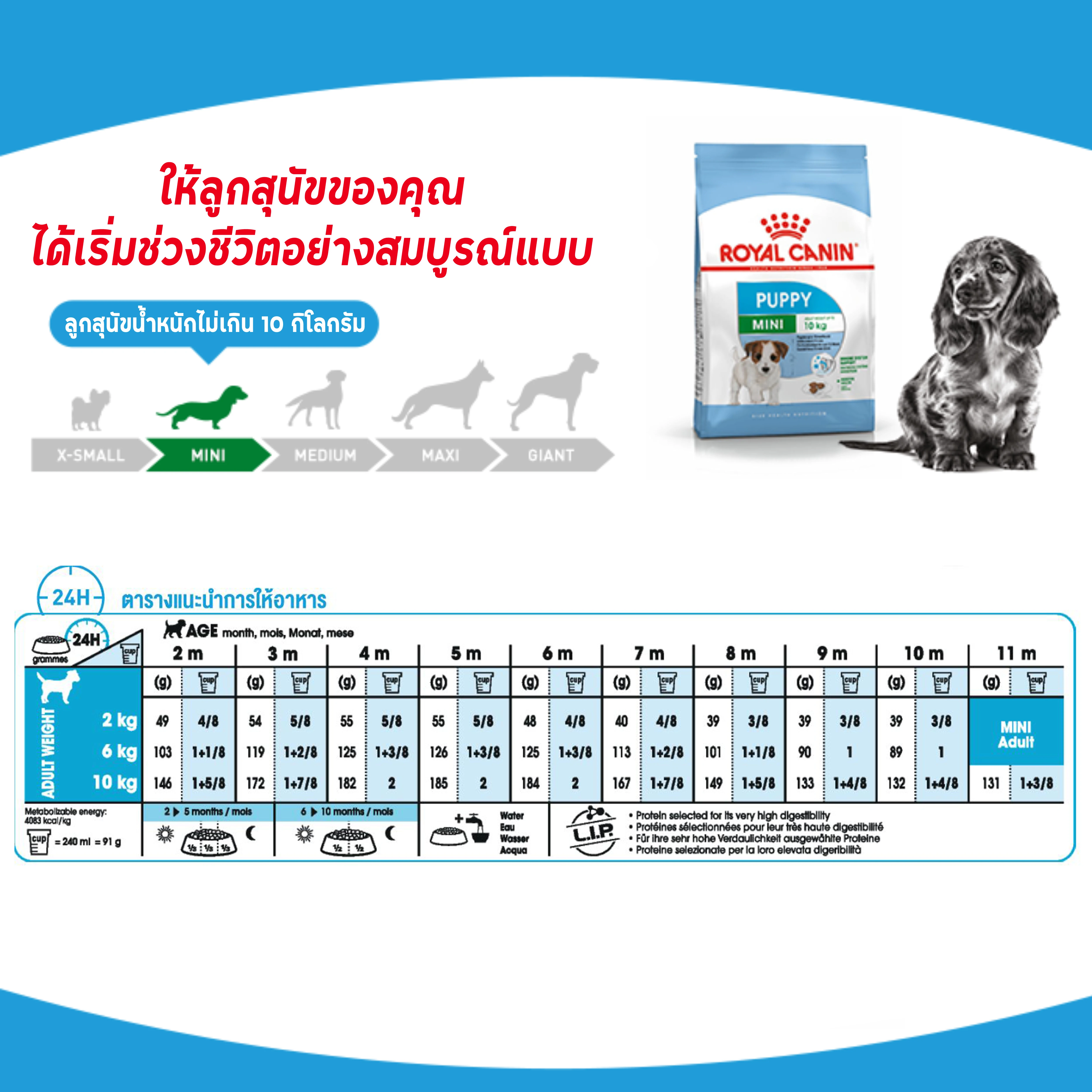 ROYAL CANIN Mini Puppy อาหารเม็ด สำหรับลูกสุนัขพันธุ์เล็ก