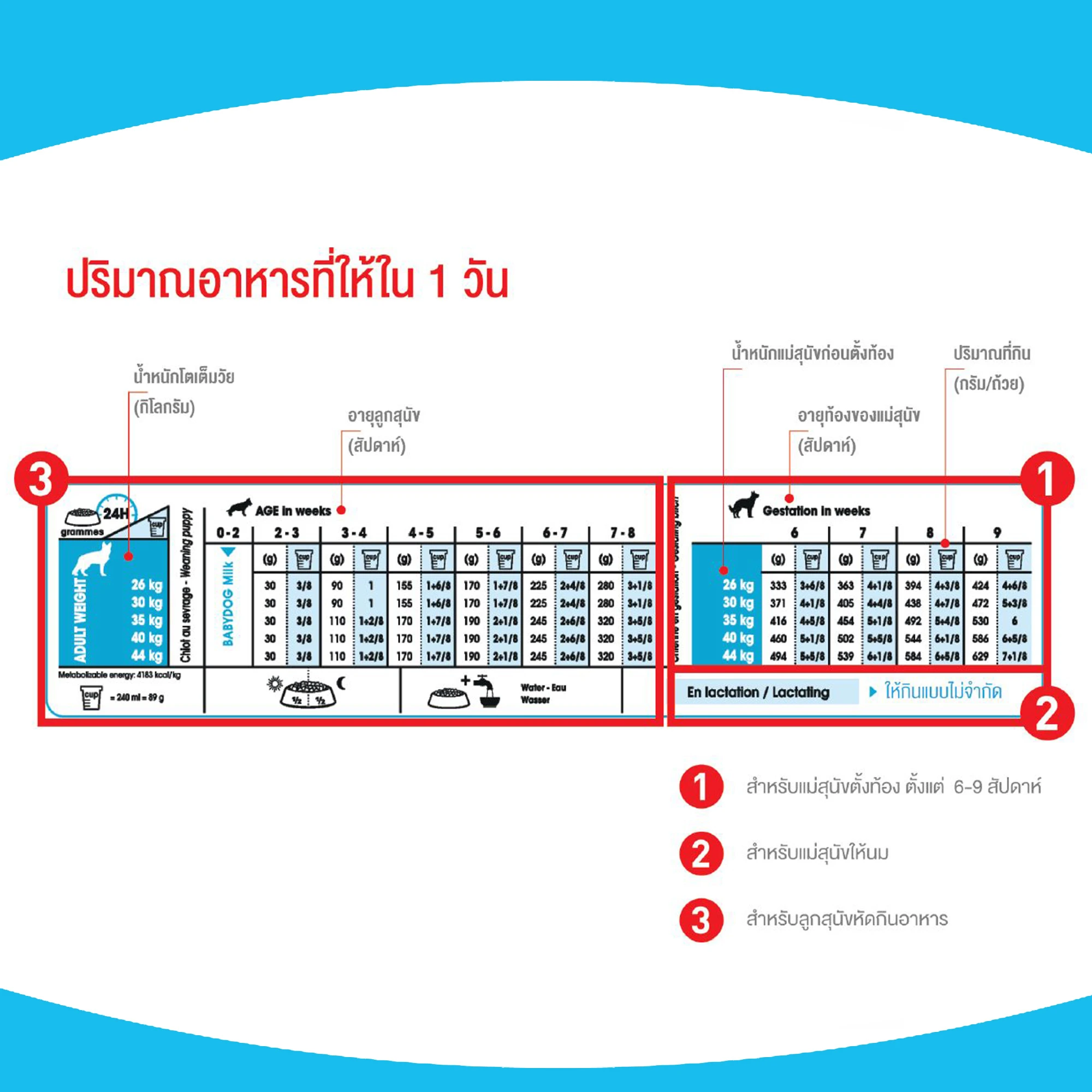 ROYAL CANIN Mini Starter Mother & Baby อาหารเม็ดสำหรับแม่สุนัขและลูกสุนัขพันธุ์เล็ก