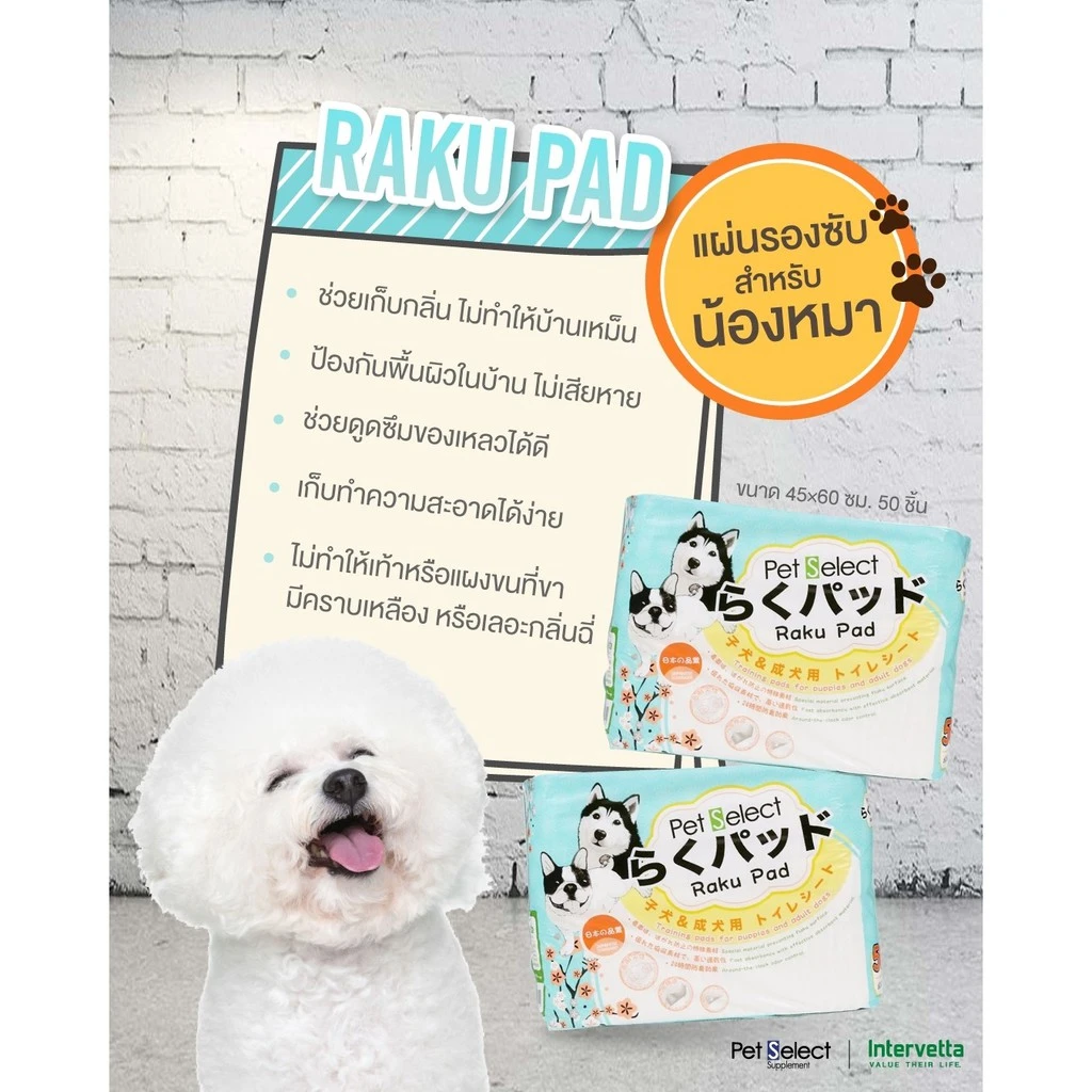 Raku Pad แผ่นรองซับ