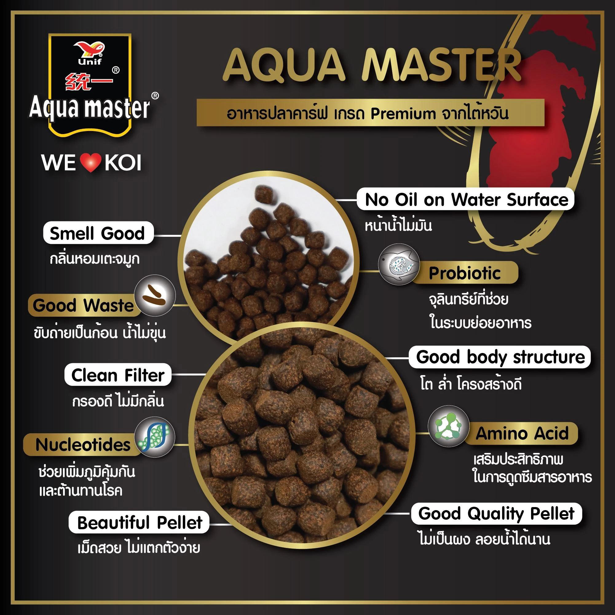 Aqua Master Color อาหารปลา สูตร เร่งสี