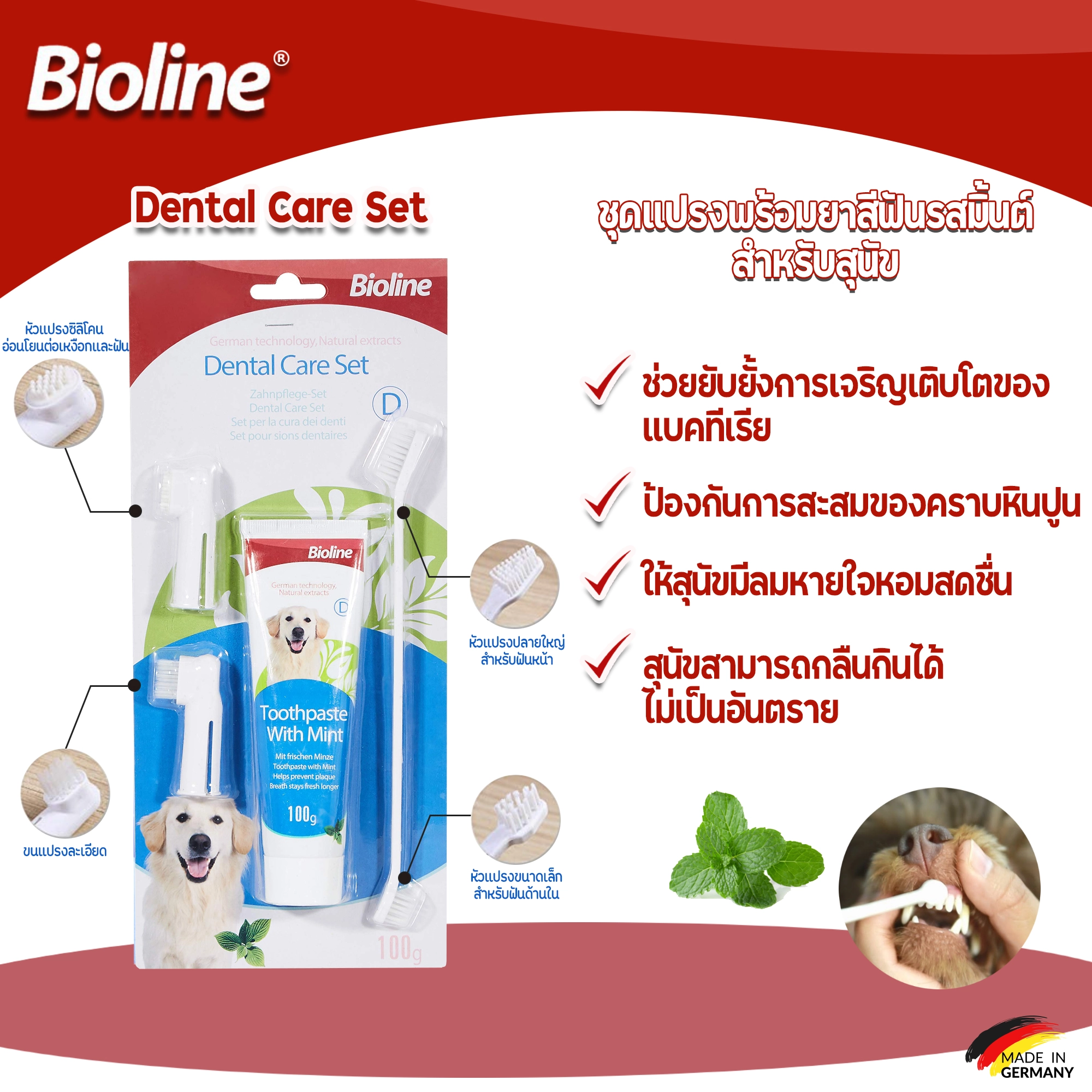 Bioline ชุดฝึกแปรง