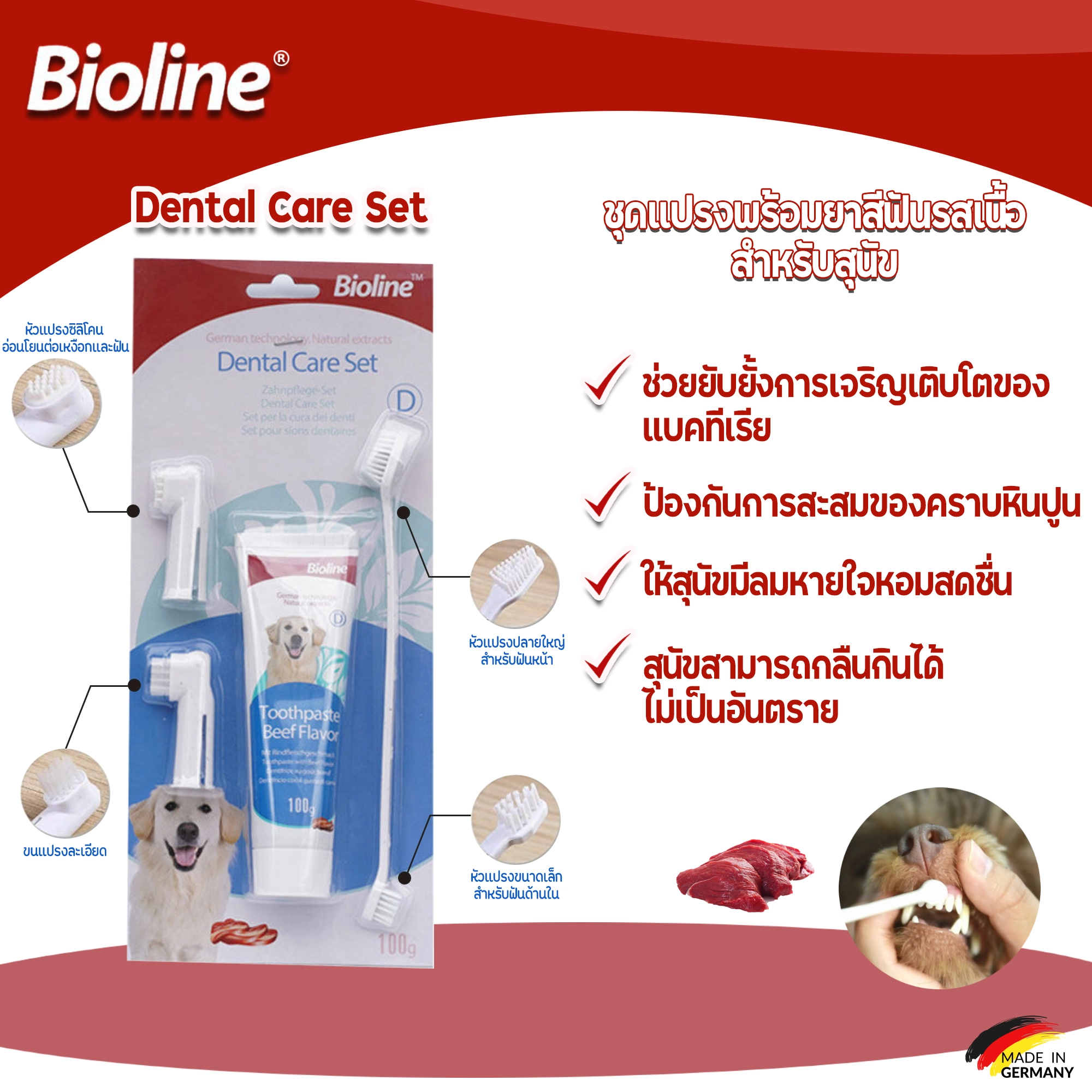 Bioline ชุดฝึกแปรง