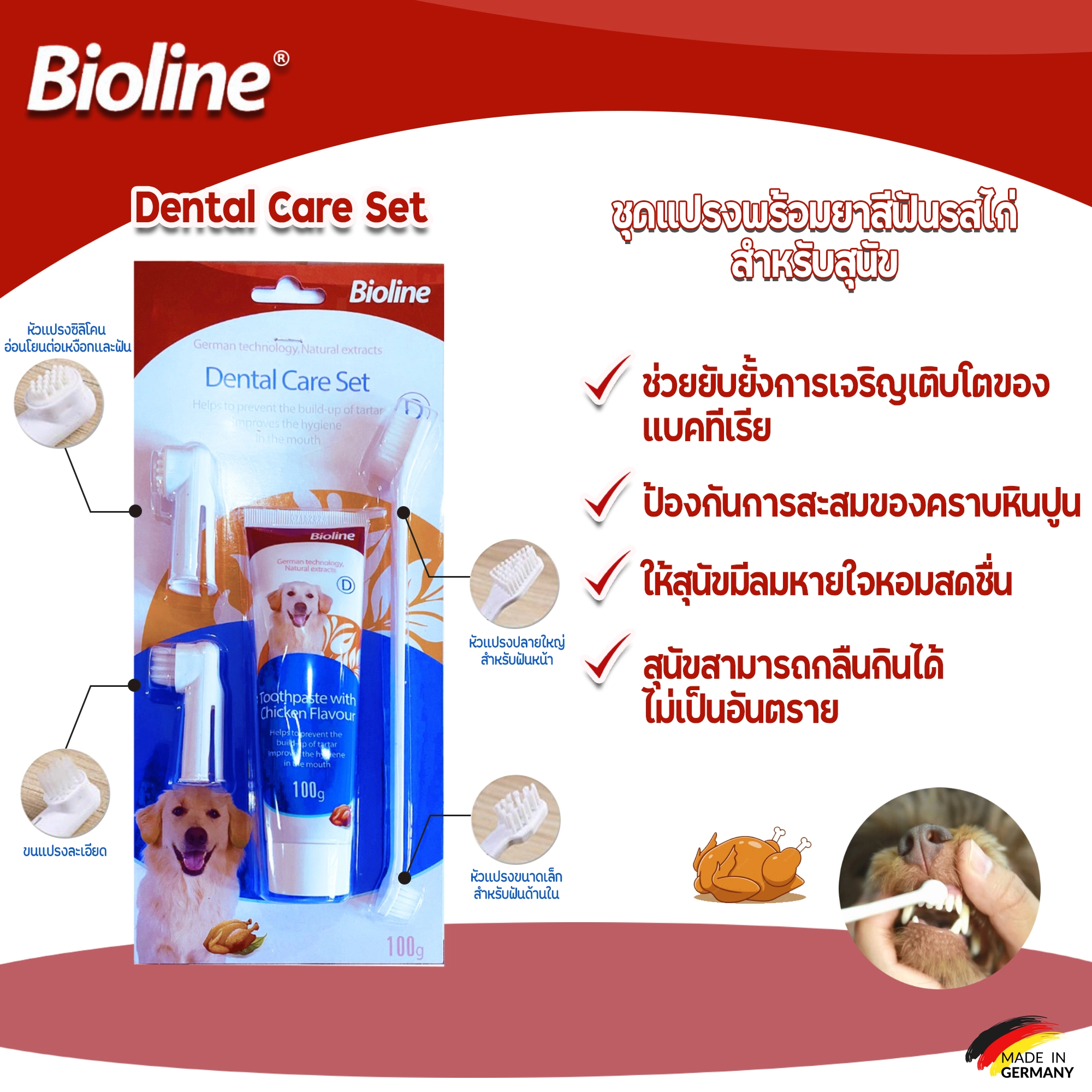 Bioline ชุดฝึกแปรง