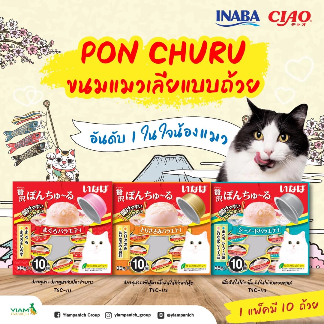 Inaba Pon Churu Wet Cat Treat 35gx10 Cups