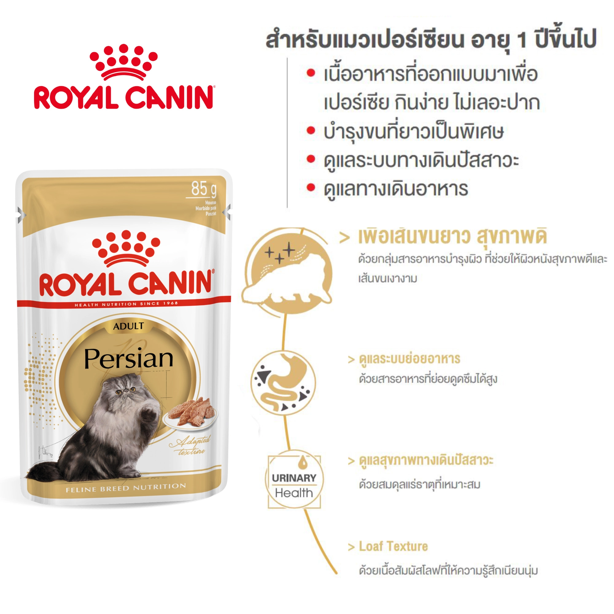 Royal Canin อาหารเปียกแมว สูตร Persain Adult สำหรับแมวพันธุ์เปอร์เซีย ชนิดซอง 85 กรัม