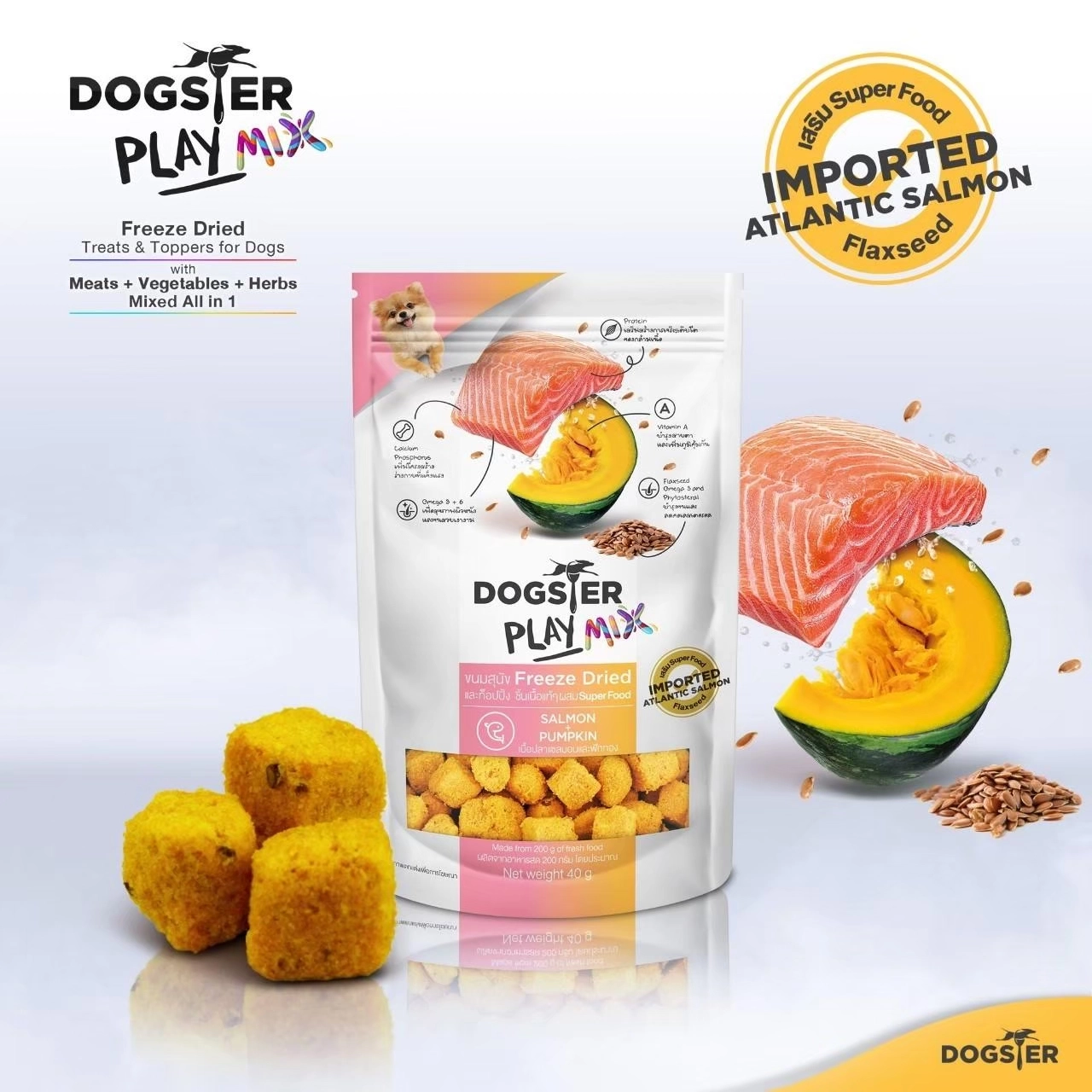 Dogster Playmix Salmon+Pumpkin 40g