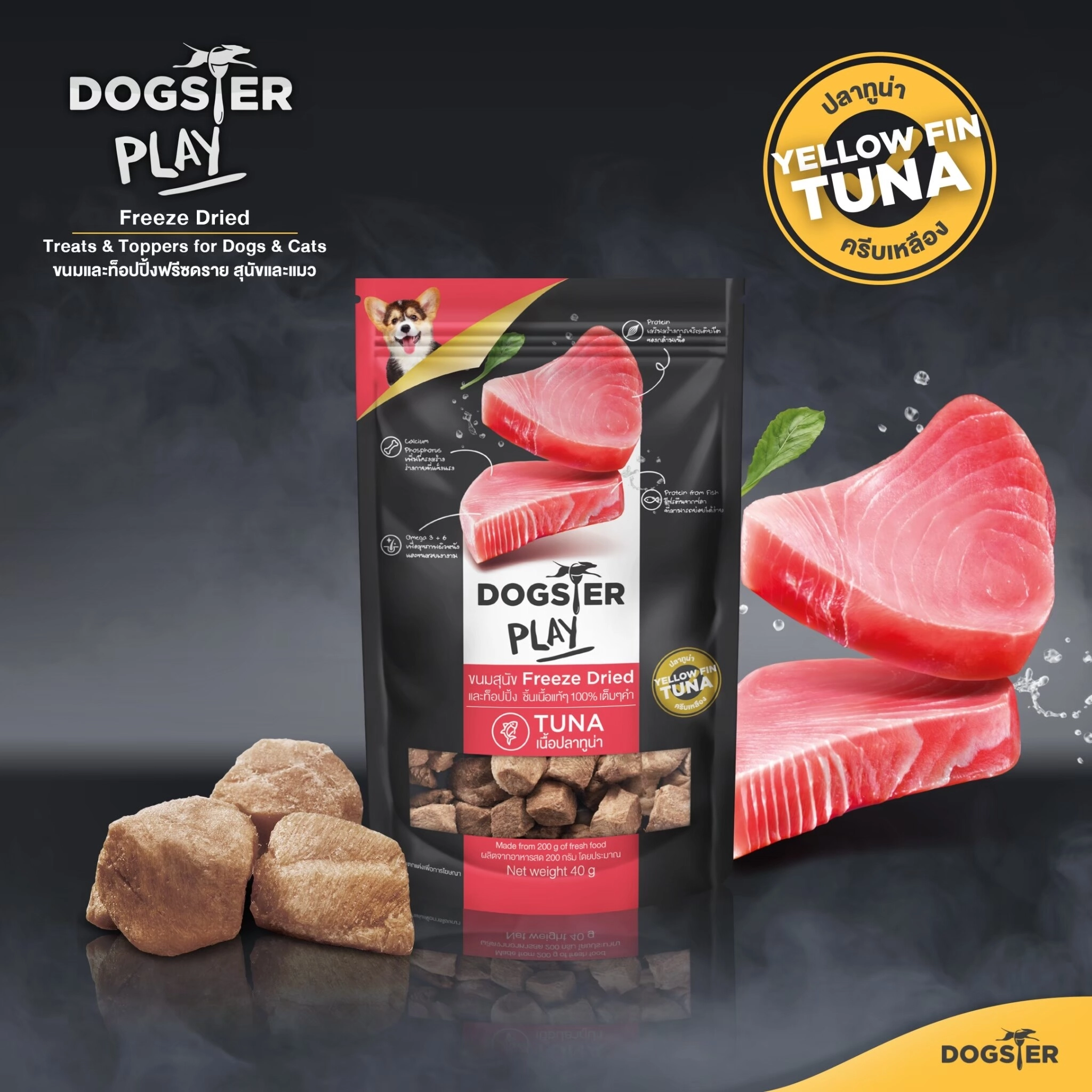 Dogster Play Black Tuna 40g