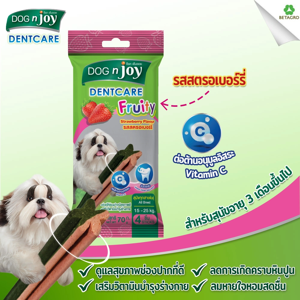 Dog n joy เดนท์แคร์ ฟรุ้ทตี้ 70 กรัม