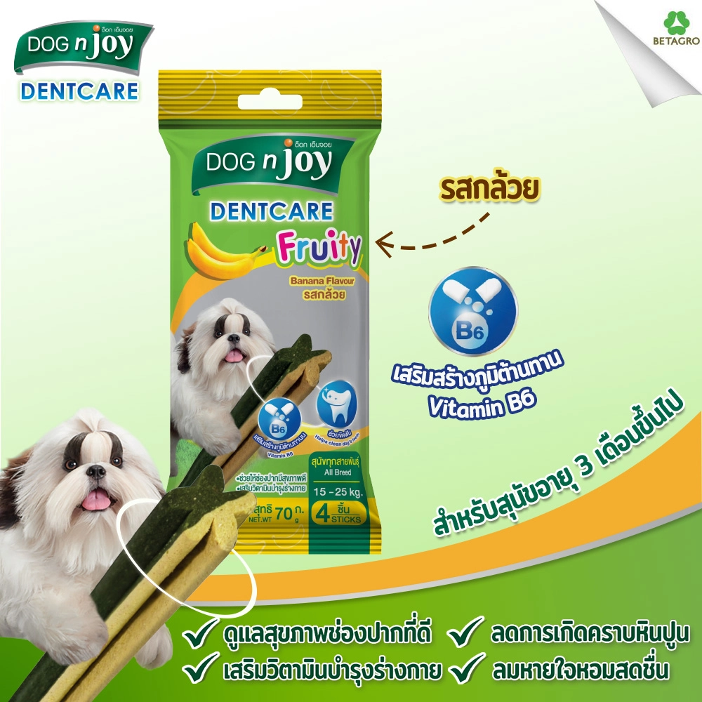 Dog n joy เดนท์แคร์ ฟรุ้ทตี้ 70 กรัม