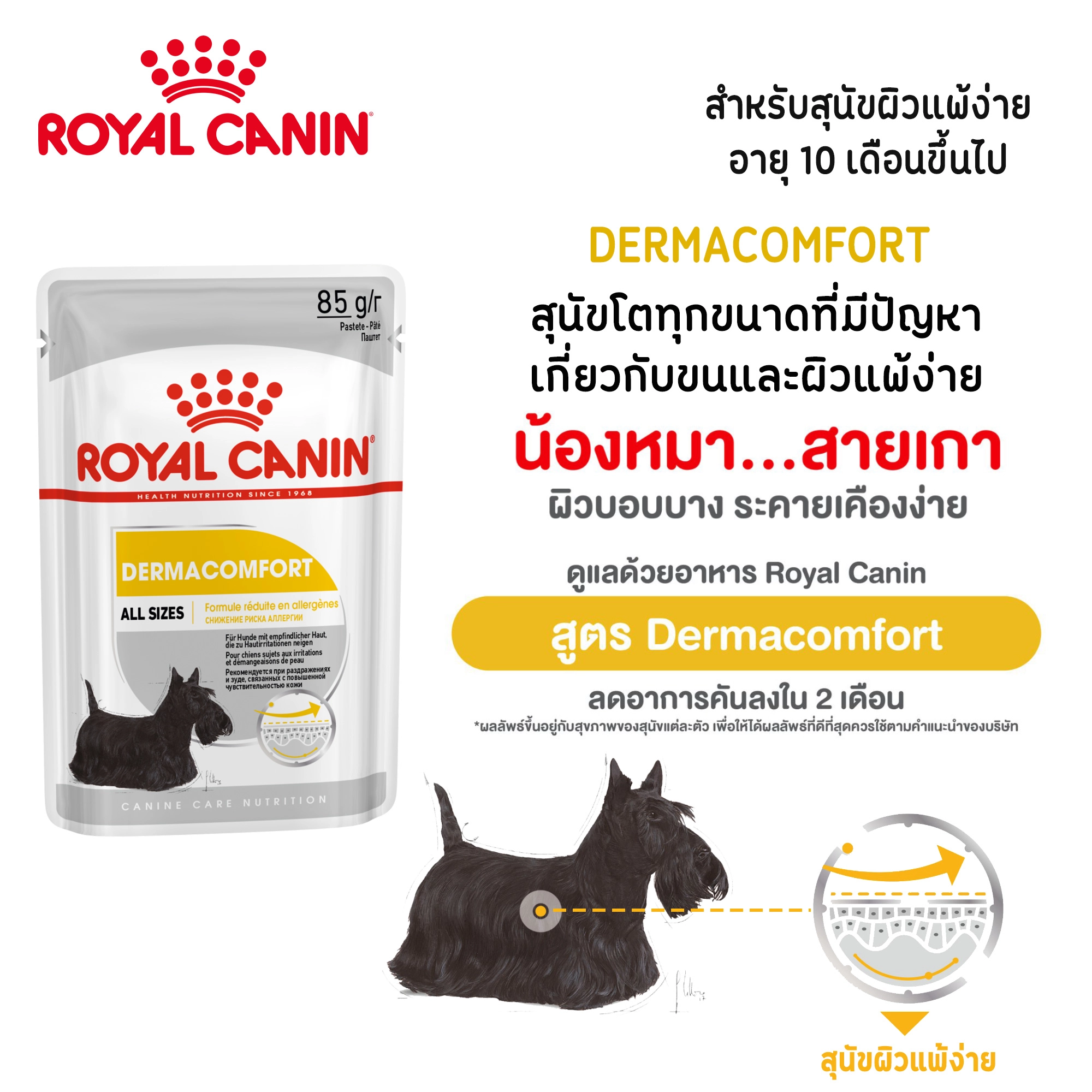 Royal Canin DERMA LOAF 85G