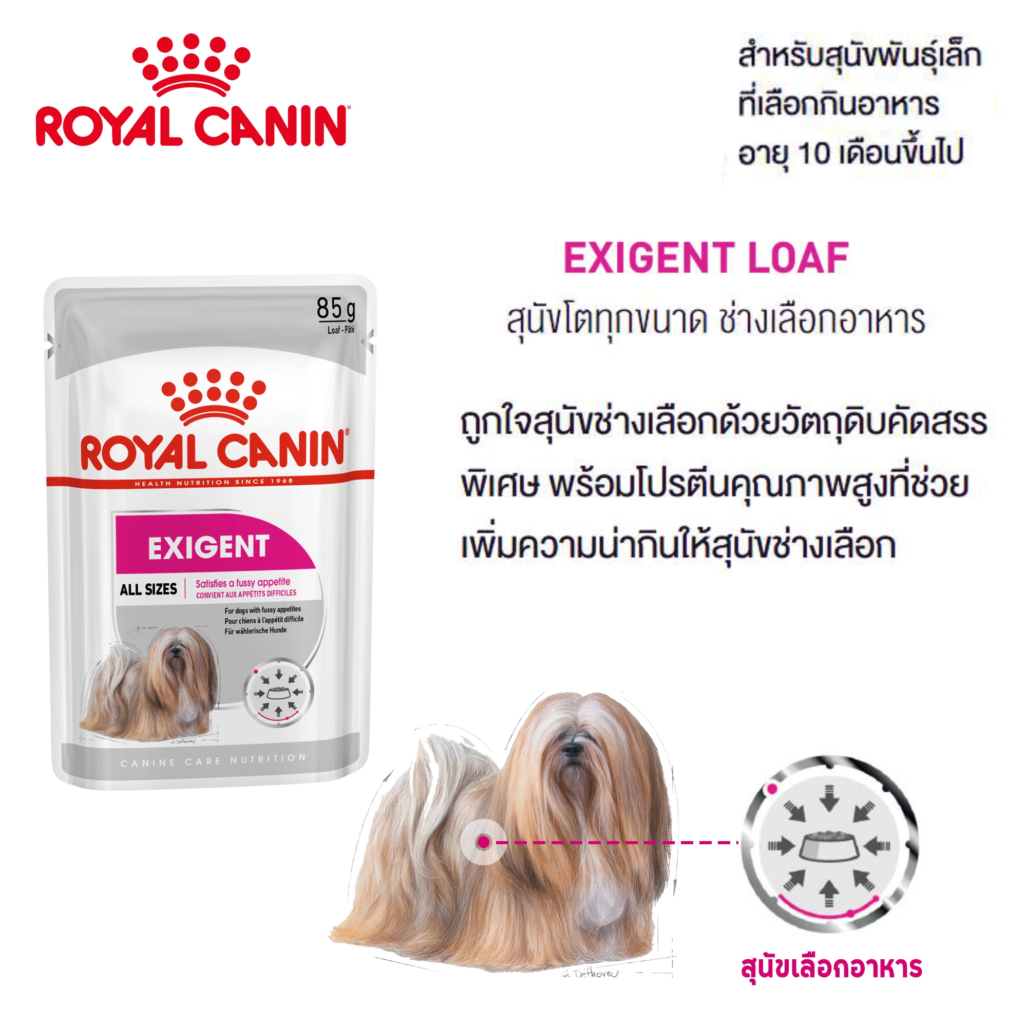 Royal Canin EXIGENT LOAF 85G