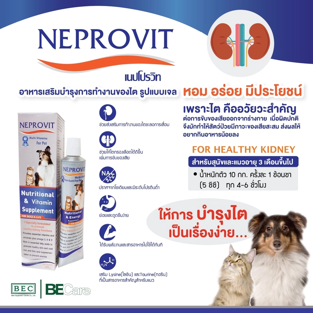 Neprovit Nutritional & Vitamin for dog 30 g.