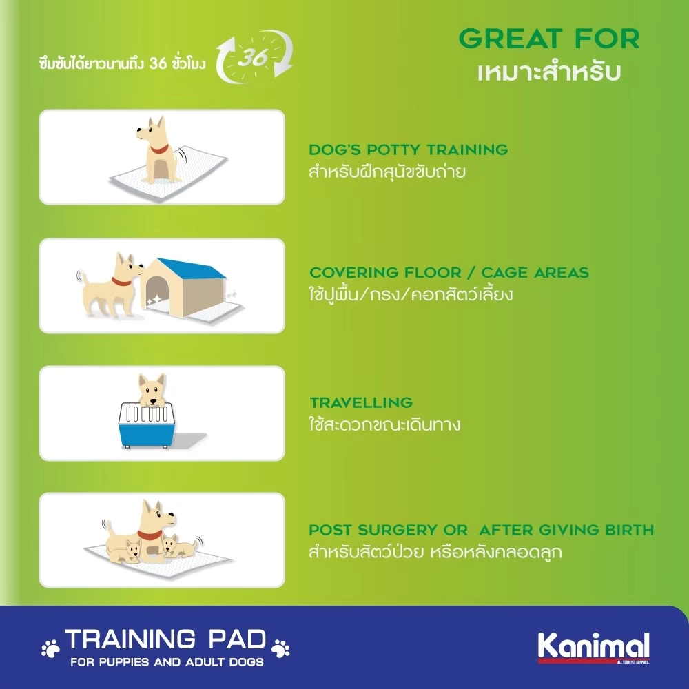 Kanimal Training Pad แผ่นรองซับ