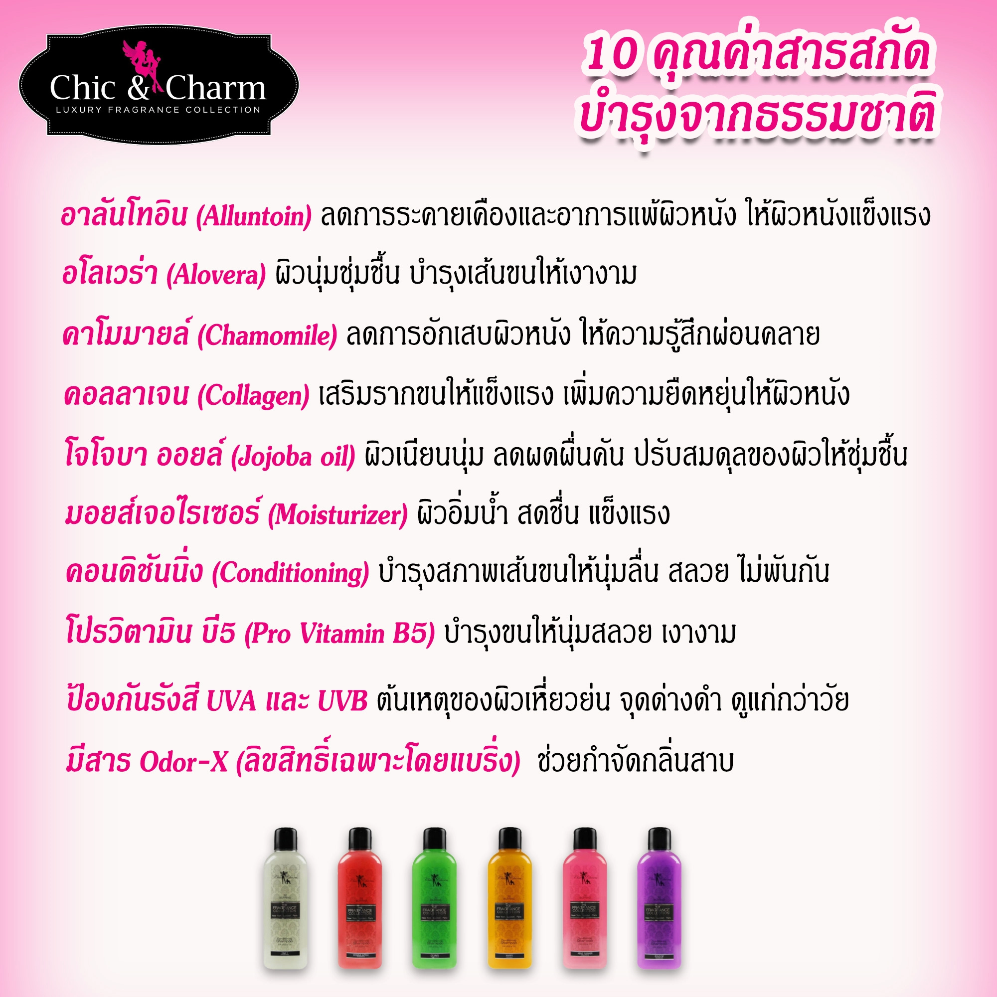 Bearing Chic&Charm แชมพูผสมครีมนวด สำหรับสุนัข