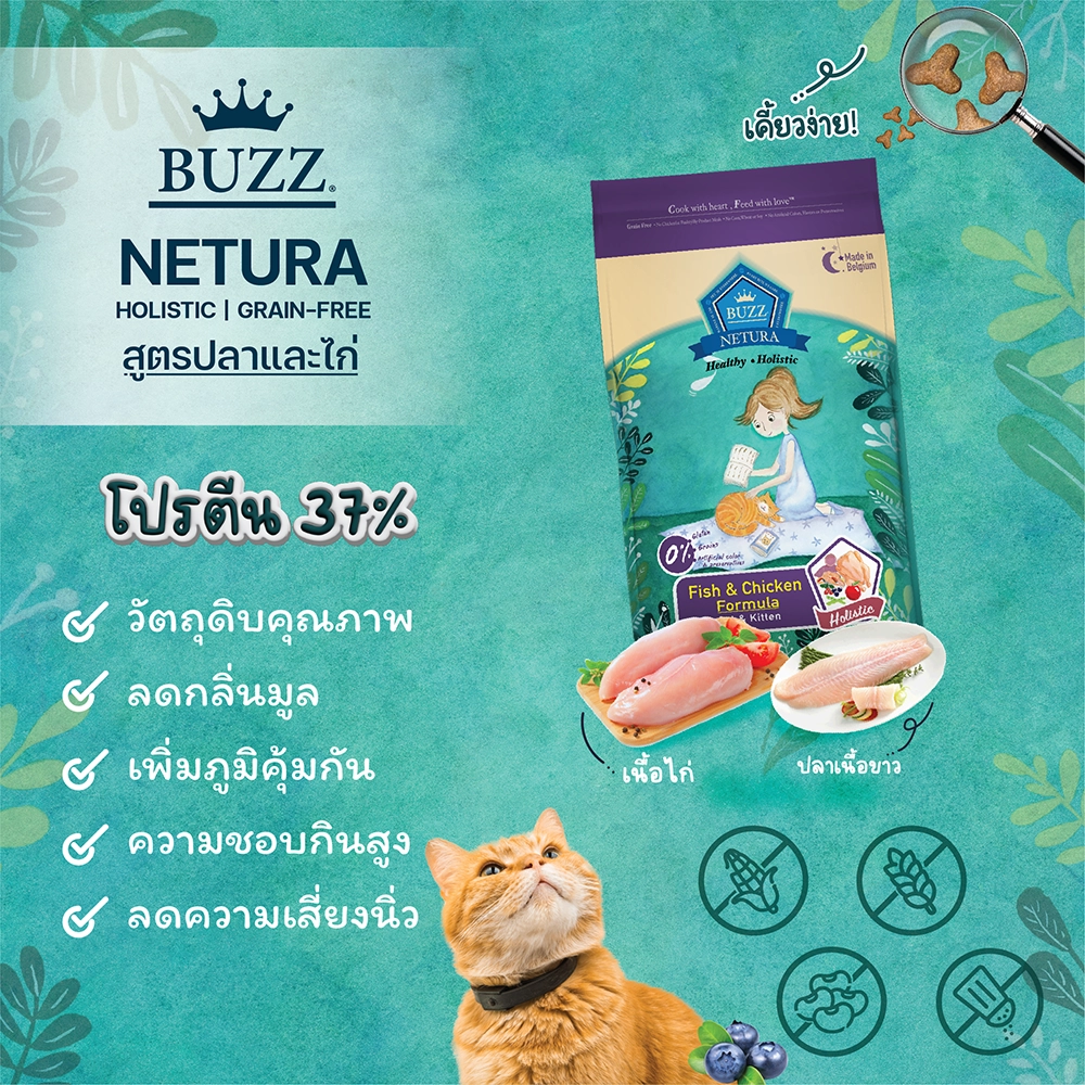 BUZZ NETURA Holistic Fish & Chicken Cat & Kitten อาหารเม็ดสำหรับแมวทุกสายพันธุ์ ทุกช่วงวัย