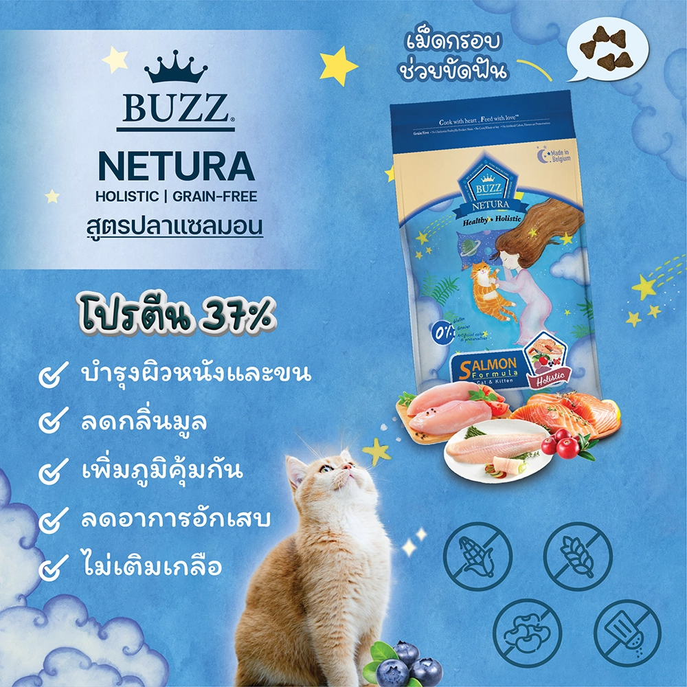 BUZZ NETURA Holistic Salmon Cat & Kitten อาหารเม็ดสำหรับแมวทุกสายพันธุ์ ทุกช่วงวัย