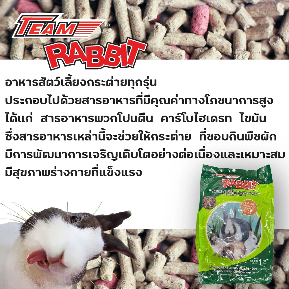 TEAM RABBIT กระต่าย6เดือนขึ้นไป 1 กก.