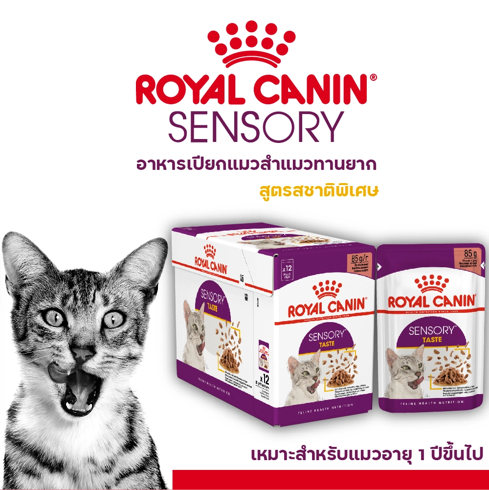 Royal Canin อาหารเปียกแมว สูตร Sensory Taste (แมวโตช่างเลือก กระตุ้นการกินด้วยรสชาติเฉพาะ) ชนิดซอง 85 กรัม