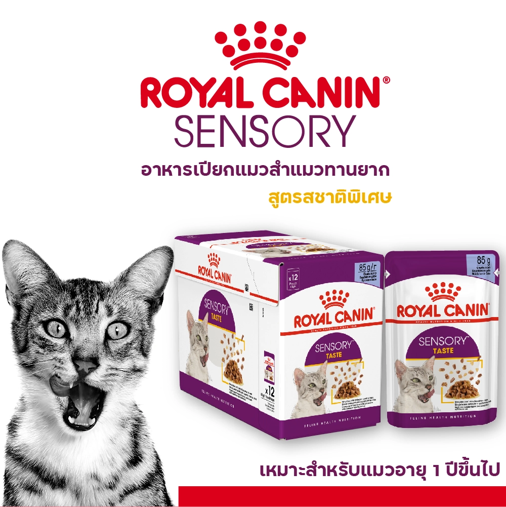 Royal Canin อาหารเปียกแมว สูตร Sensory Taste (แมวโตช่างเลือก กระตุ้นการกินด้วยรสชาติเฉพาะ) ชนิดซอง 85 กรัม