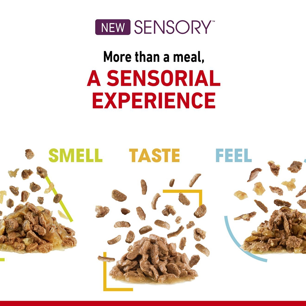 Royal Canin อาหารเปียกแมว สูตร Sensory Taste (แมวโตช่างเลือก กระตุ้นการกินด้วยรสชาติเฉพาะ) ชนิดซอง 85 กรัม