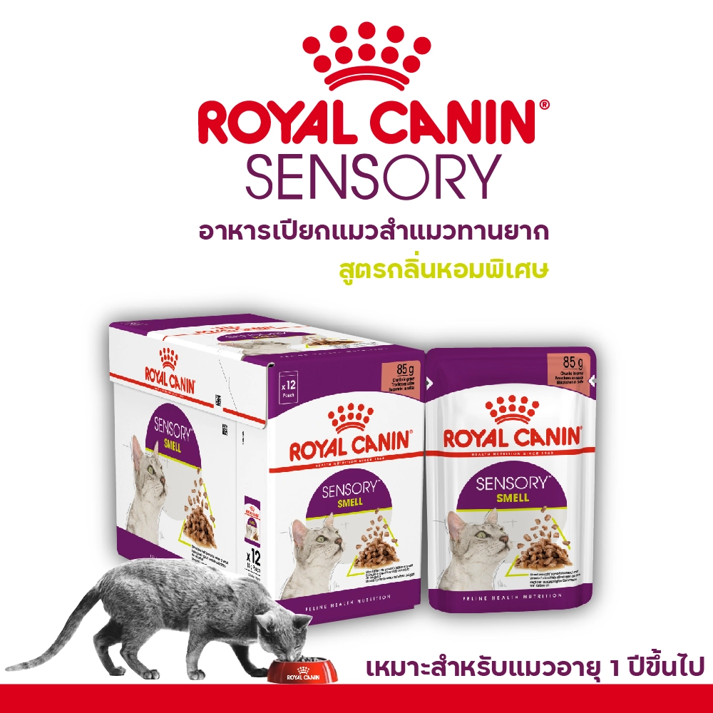 Royal Canin อาหารเปียกแมว สูตร Sensory Smell (แมวโตช่างเลือก กระตุ้นการกินด้วยกลิ่นหอมเฉพาะ) ชนิดซอง 85 กรัม