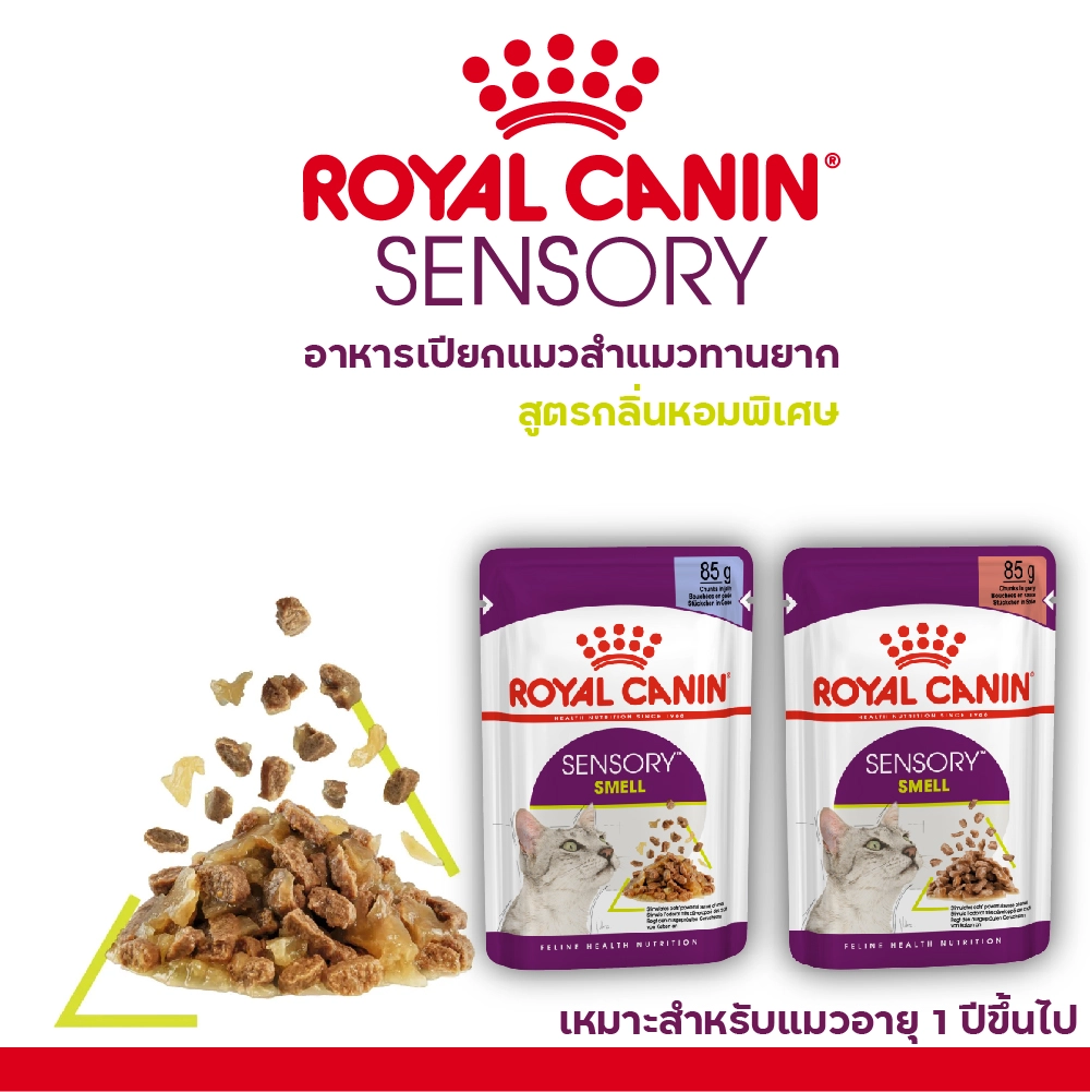 Royal Canin อาหารเปียกแมว สูตร Sensory Smell (แมวโตช่างเลือก กระตุ้นการกินด้วยกลิ่นหอมเฉพาะ) ชนิดซอง 85 กรัม