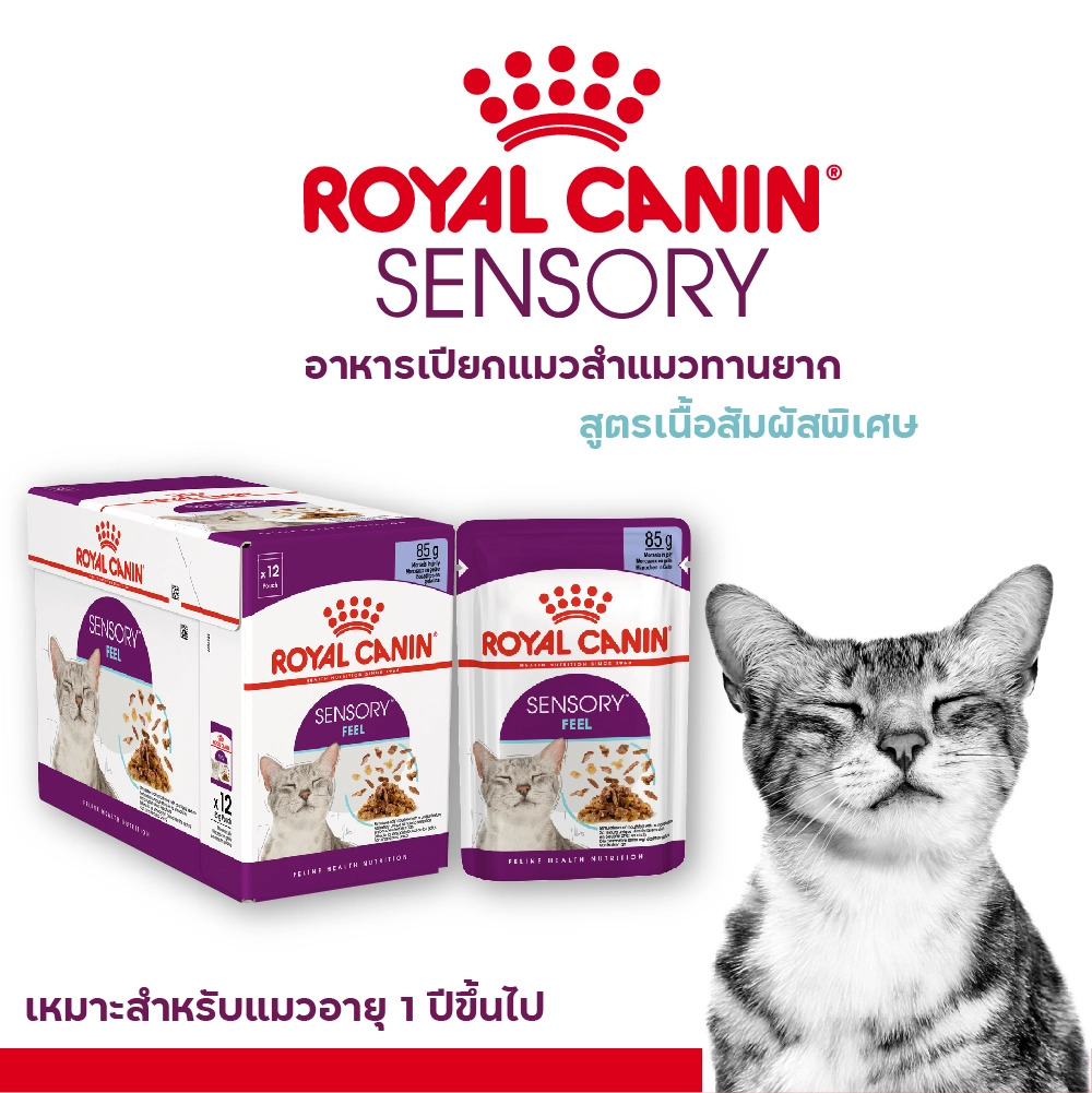 Royal Canin อาหารเปียกแมว สูตร Sensory Feel (แมวโตช่างเลือก กระตุ้นการกินด้วยเนื้อสัมผัสเฉพาะ) ชนิดซอง 85 กรัม