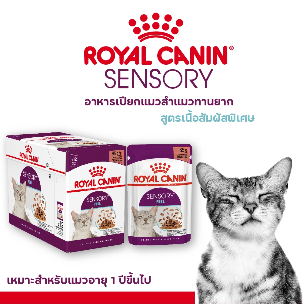 Royal Canin อาหารเปียกแมว สูตร Sensory Feel (แมวโตช่างเลือก กระตุ้นการกินด้วยเนื้อสัมผัสเฉพาะ) ชนิดซอง 85 กรัม