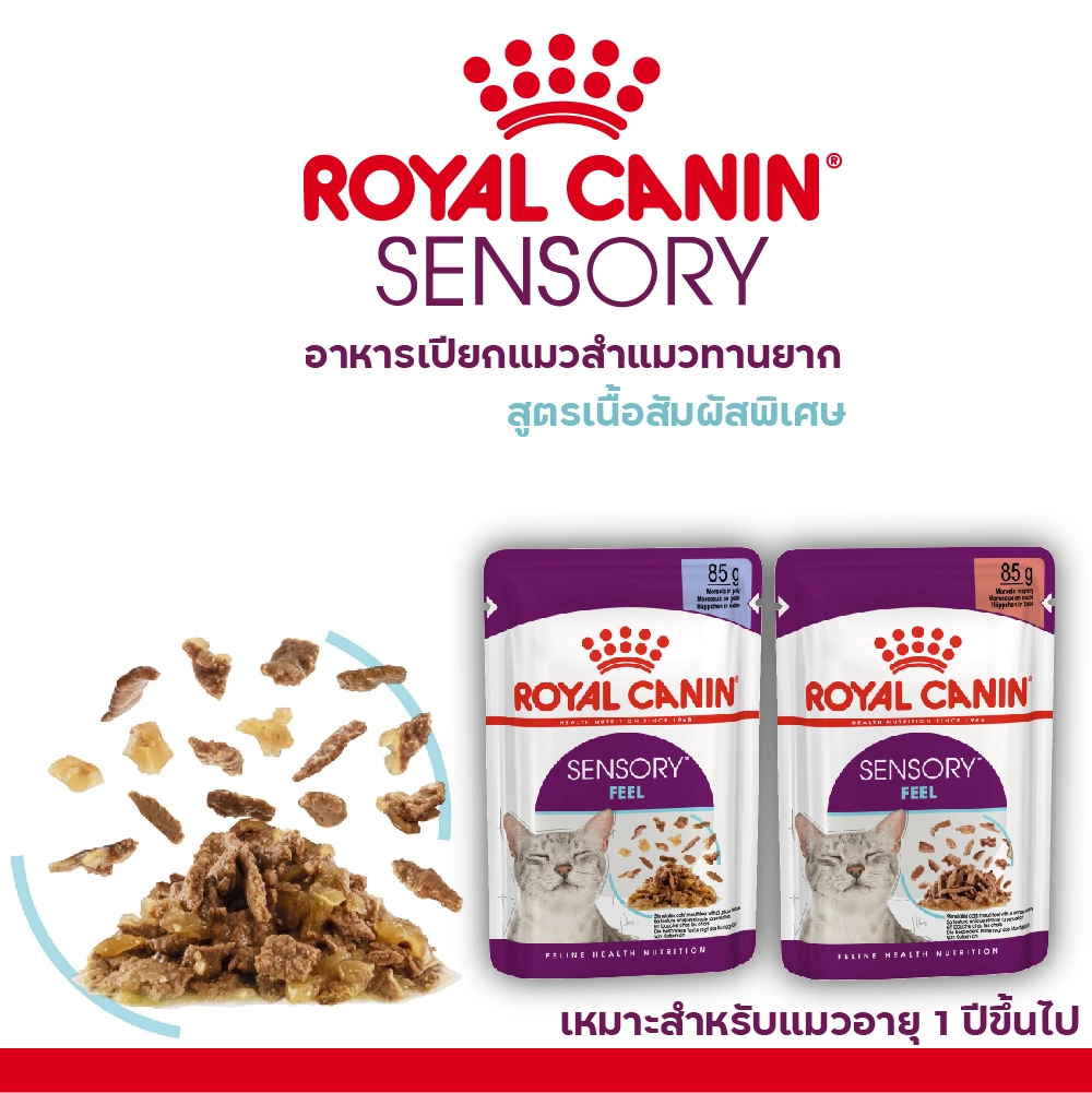 Royal Canin อาหารเปียกแมว สูตร Sensory Feel (แมวโตช่างเลือก กระตุ้นการกินด้วยเนื้อสัมผัสเฉพาะ) ชนิดซอง 85 กรัม