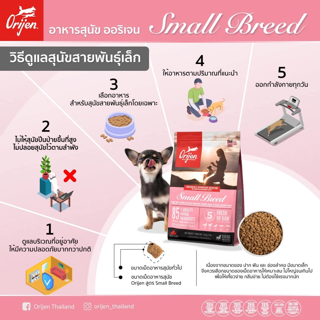 Orijen อาหารเม็ดสุนัข สูตร Small Breed สำหรับสุนัขพันธุ์เล็กทุกช่วงวัย ทุกสายพันธุ์