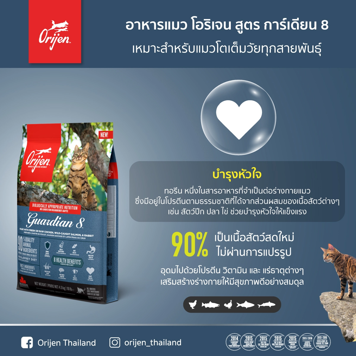 Orijen อาหารเม็ดแมว สูตร Guardian 8 สำหรับแมวทุกช่วงวัย ทุกสายพันธุ์