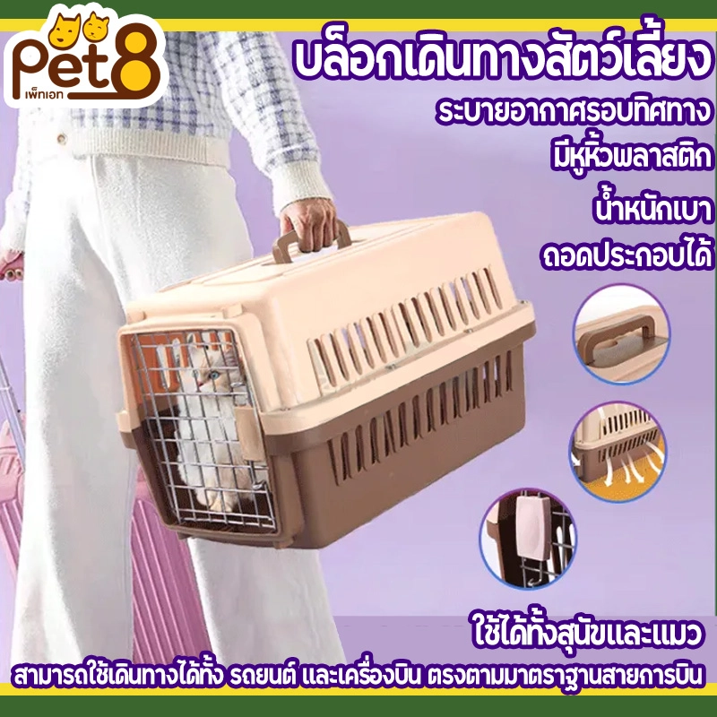 Pet 8 บล็อกเดินทาง