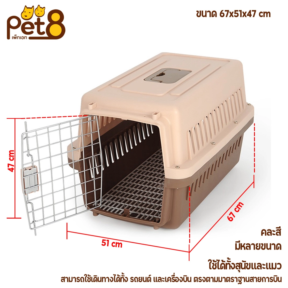 Pet 8 บล็อกเดินทาง