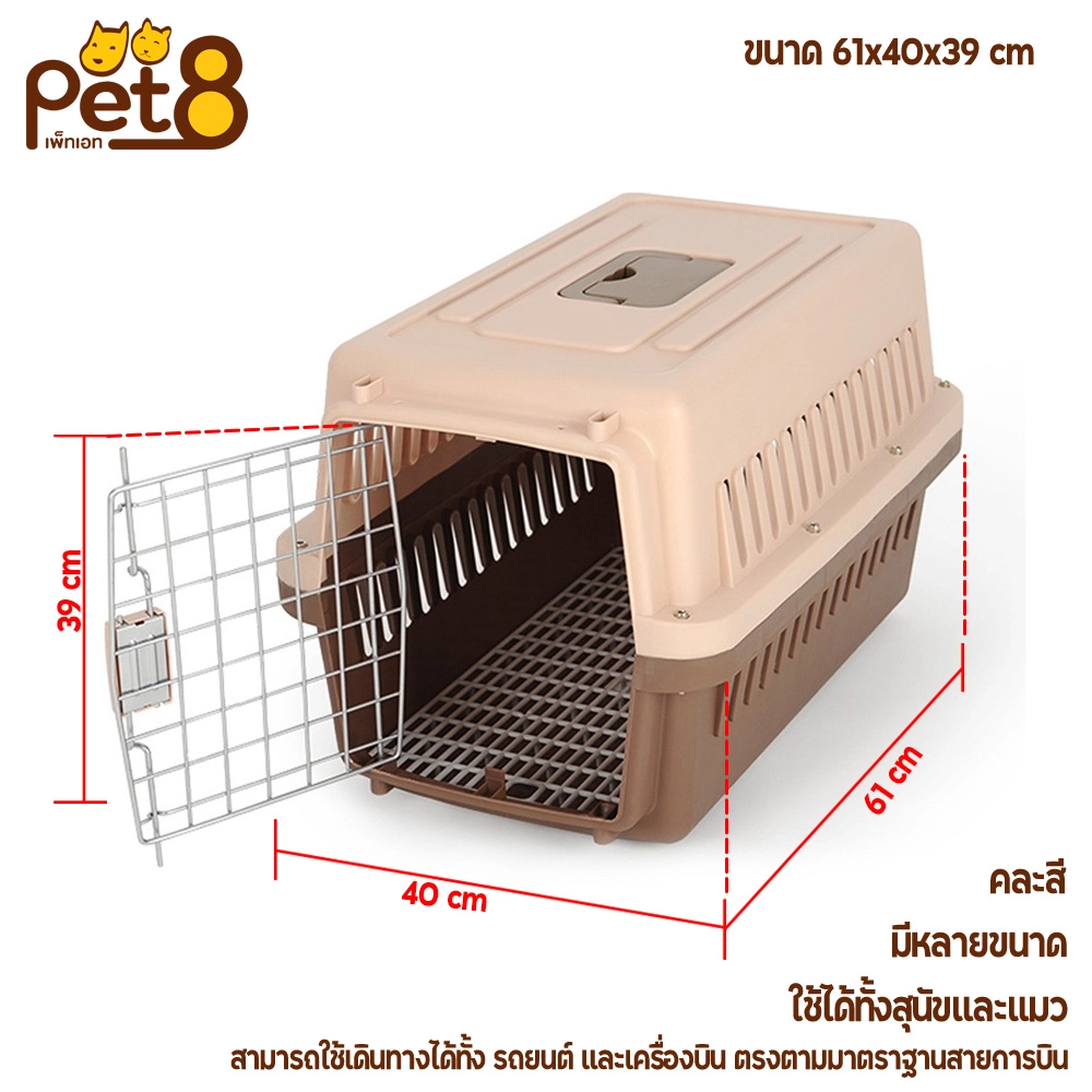 Pet 8 บล็อกเดินทาง