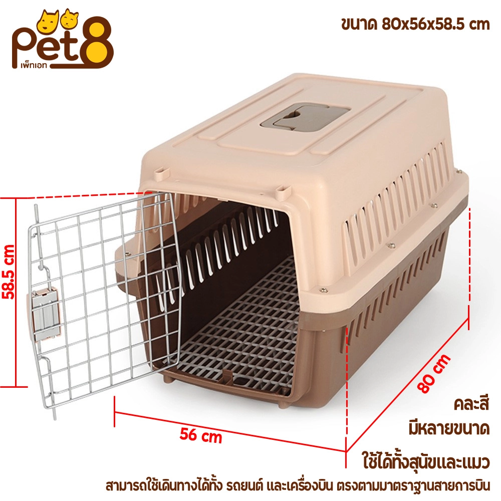 Pet 8 บล็อกเดินทาง