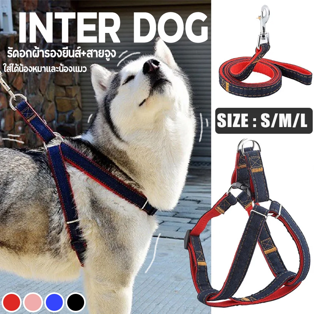 Interdog strap on