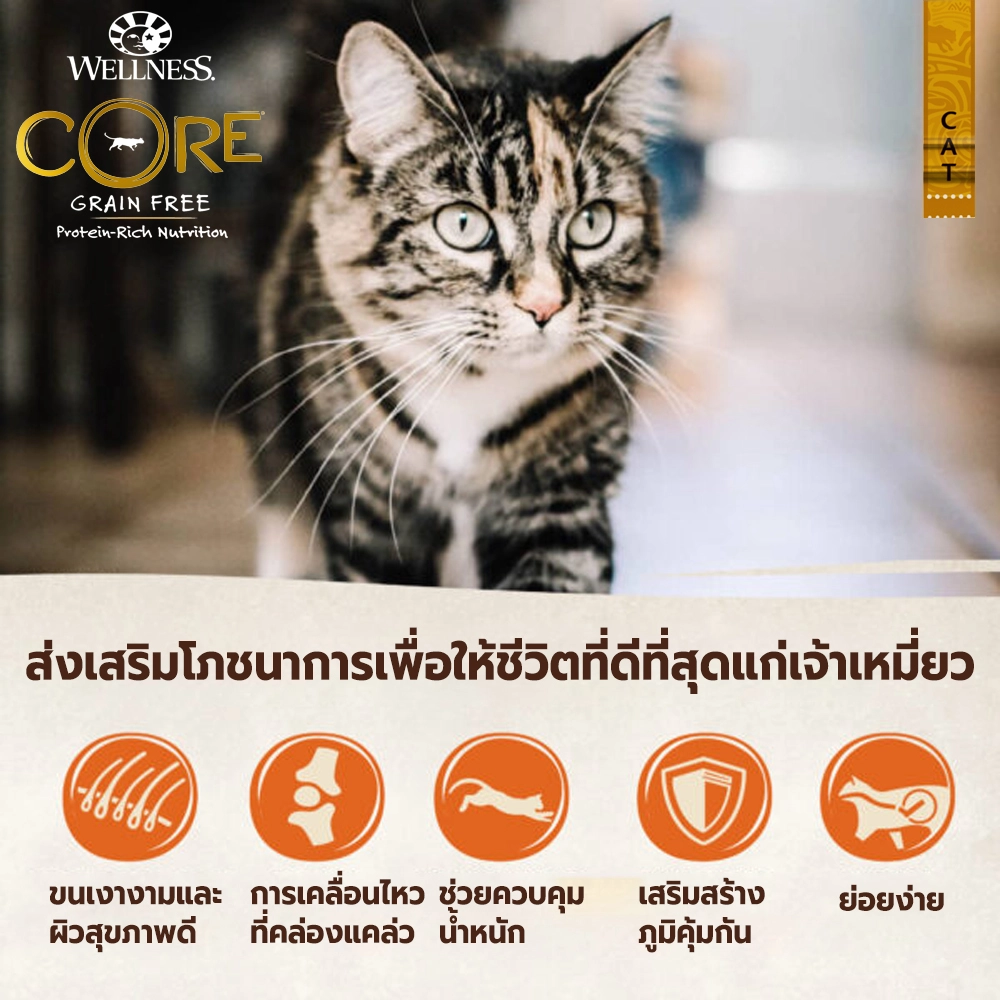 WELLNESS CORE Original อาหารเม็ด สำหรับแมวทุกสายพันธุ์ทุกช่วงวัย สูตรออริจินัลไก่งวงเลาะกระดูก