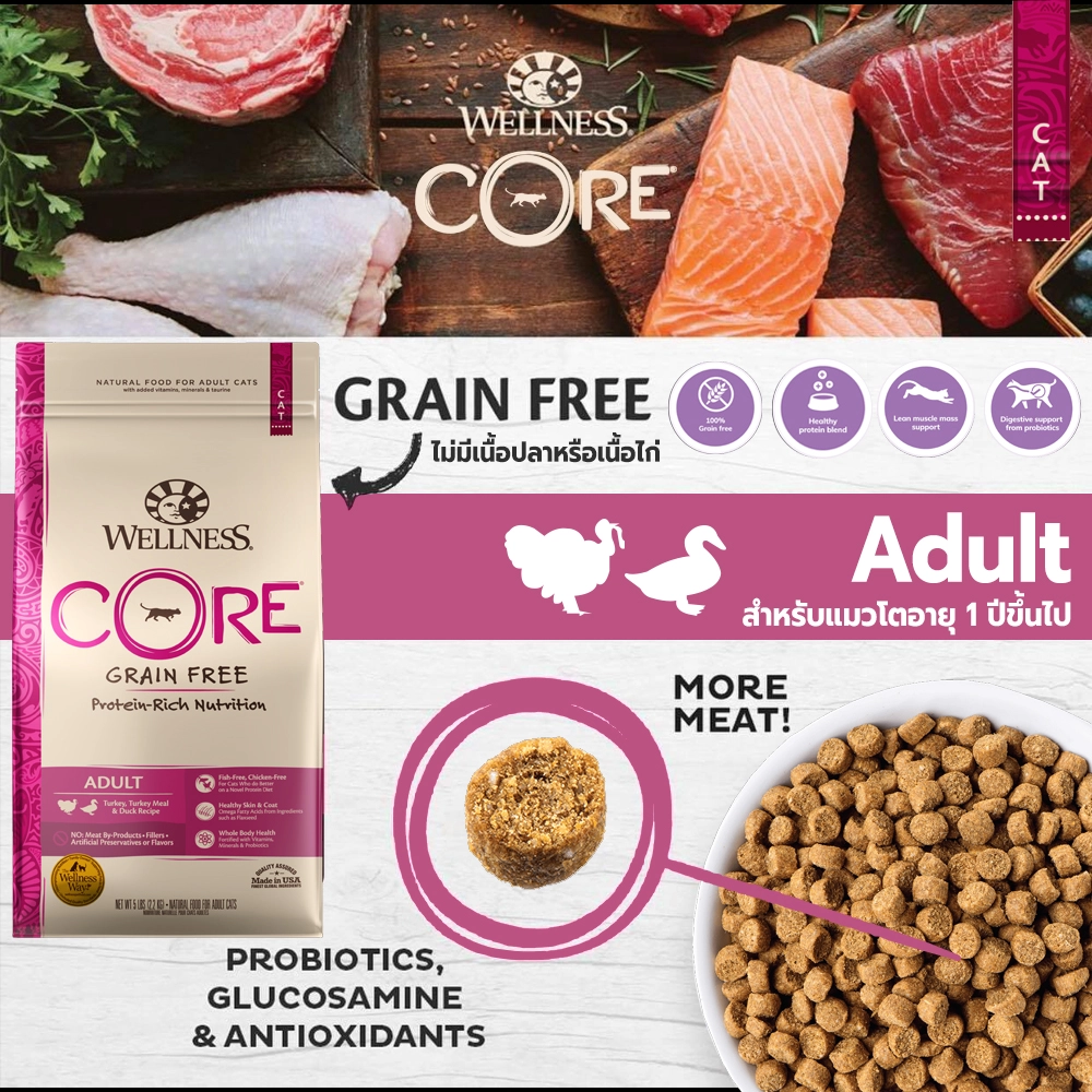 WELLNESS CORE, Turkey & Duck Formula