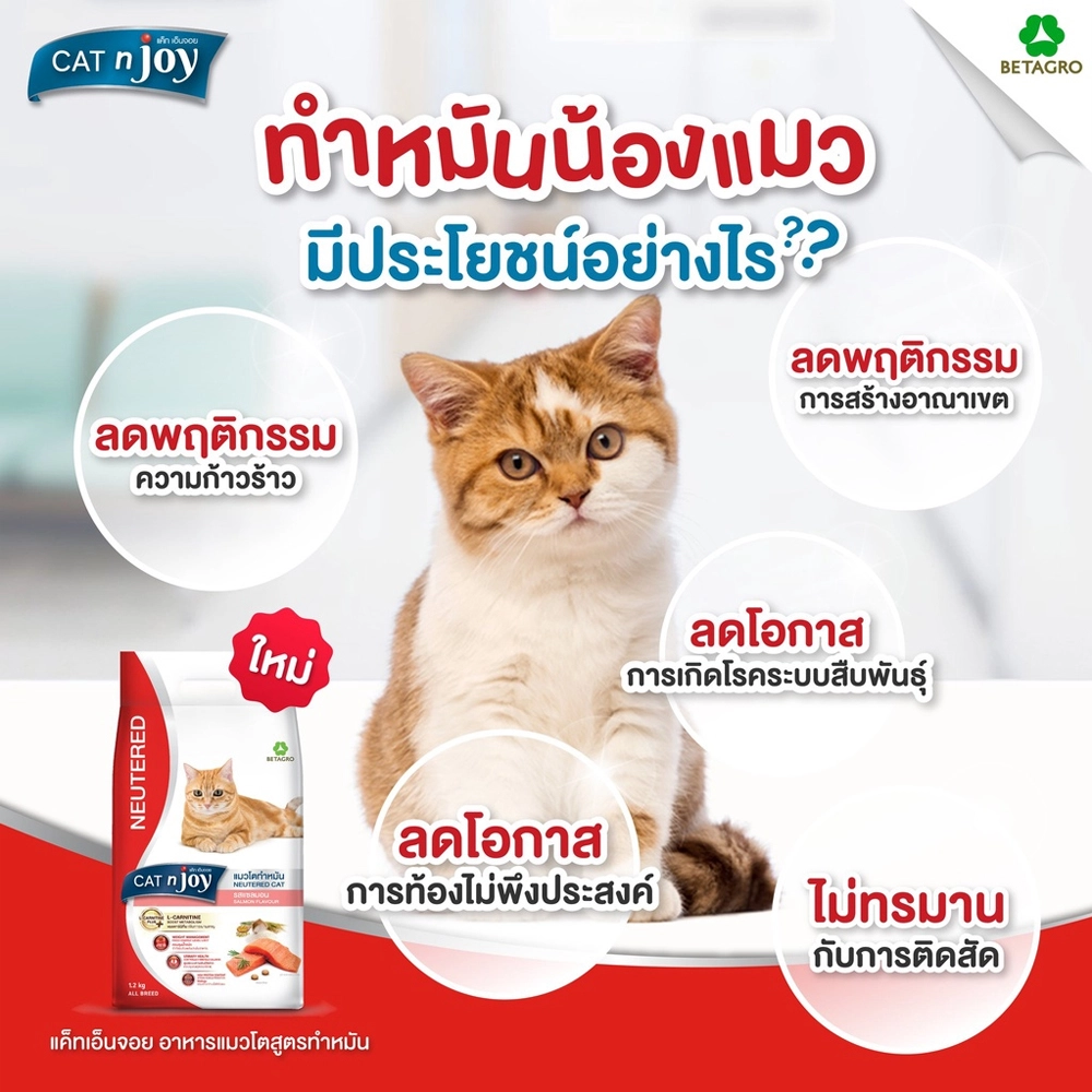 CAT n Joy Neutered  อาหารเม็ด สำหรับแมวโตทุกสายพันธุ์ สูตรแซลมอน ทำหมัน 