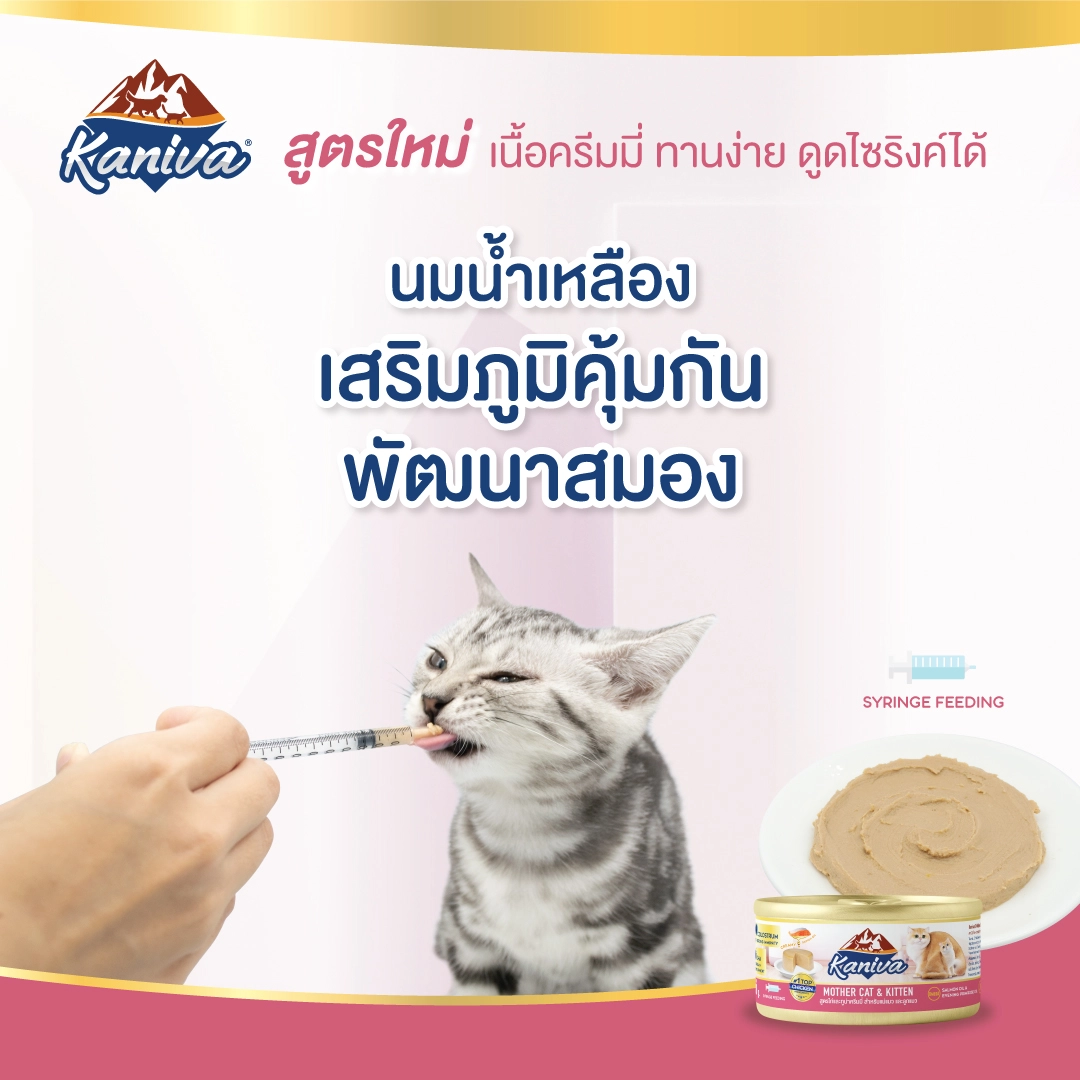 Kaniva MOTHER CAT AND KITTEN CHICKEN AND TUNA อาหารเปียกแมวชนิดกระป๋อง สำหรับแม่แมวและลูกแมวทุกสายพันธุ์ สูตรแม่แมวและลูกแมวหย่านม ไก่และปลาทูน่า