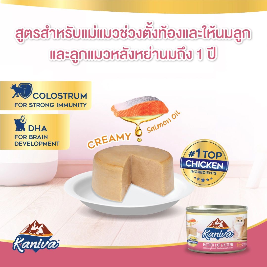 Kaniva MOTHER CAT AND KITTEN CHICKEN AND TUNA อาหารเปียกแมวชนิดกระป๋อง สำหรับแม่แมวและลูกแมวทุกสายพันธุ์ สูตรแม่แมวและลูกแมวหย่านม ไก่และปลาทูน่า