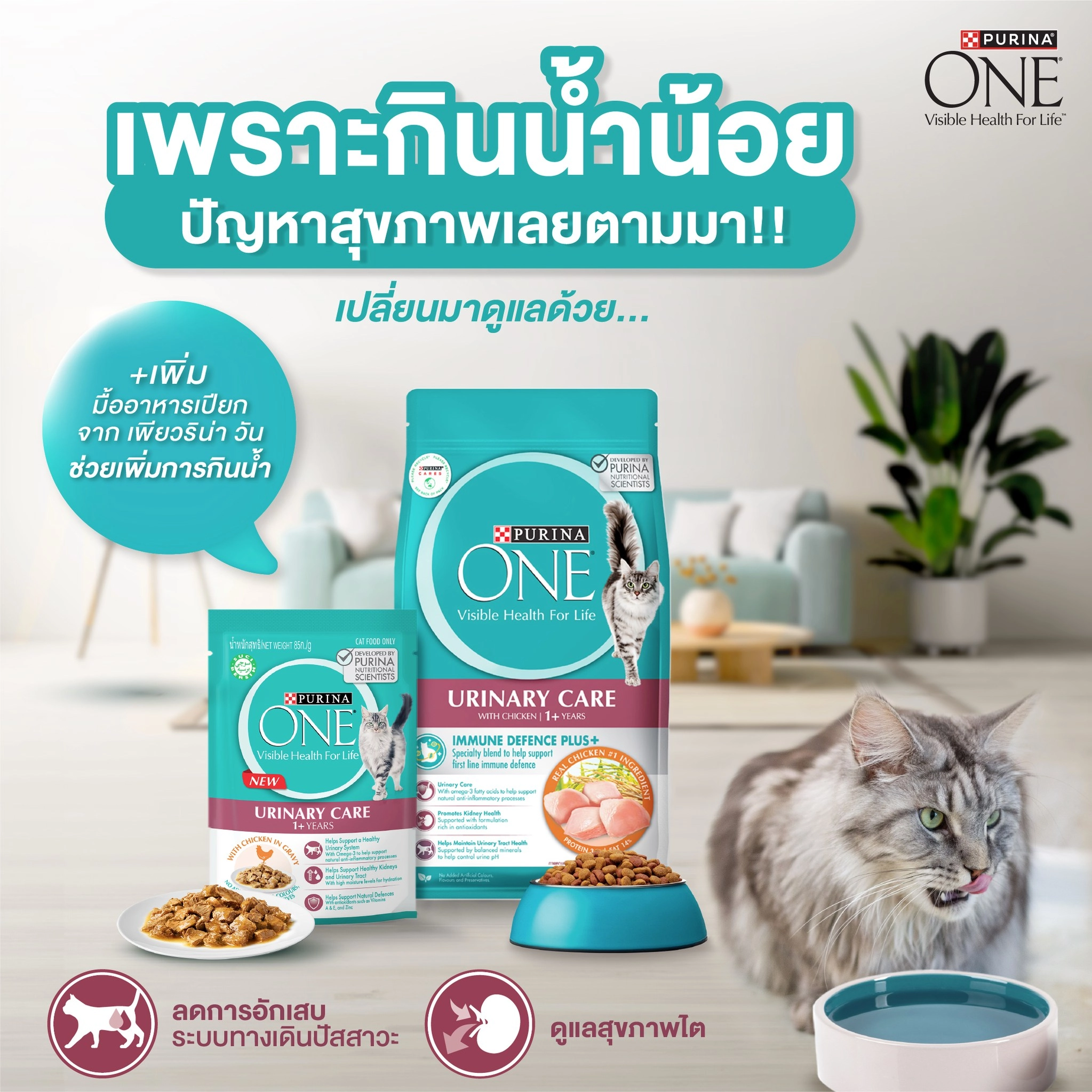 PURINA ONE Urinary Care อาหารเม็ดสำหรับแมวโตทุกสายพันธุ์ สูตรป้องกันนิ่ว