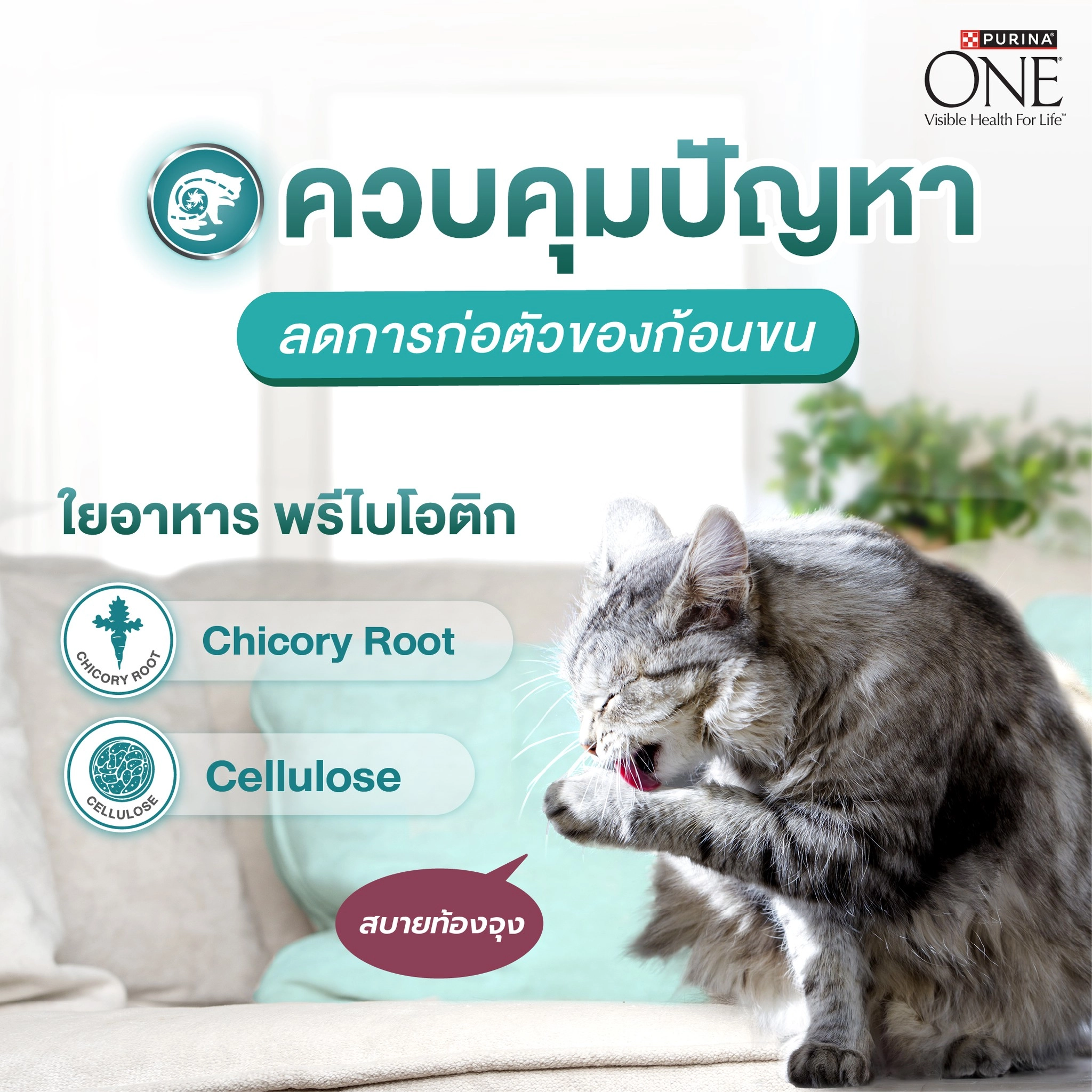 PURINA ONE Hairball Control  อาหารเม็ด สำหรับแมวโตทุกสายพันธุ์ สูตรควบคุมปัญหาก้อนขน