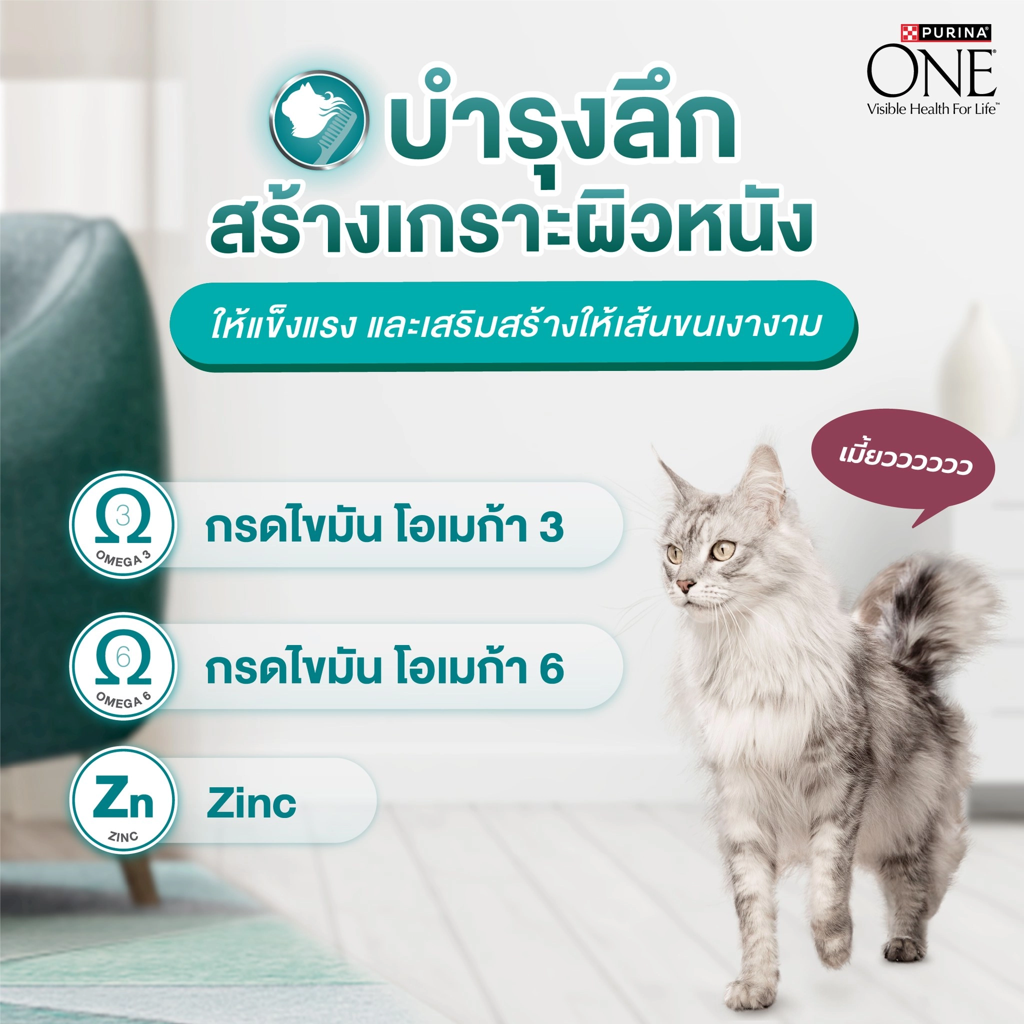 PURINA ONE Hairball Control  อาหารเม็ด สำหรับแมวโตทุกสายพันธุ์ สูตรควบคุมปัญหาก้อนขน